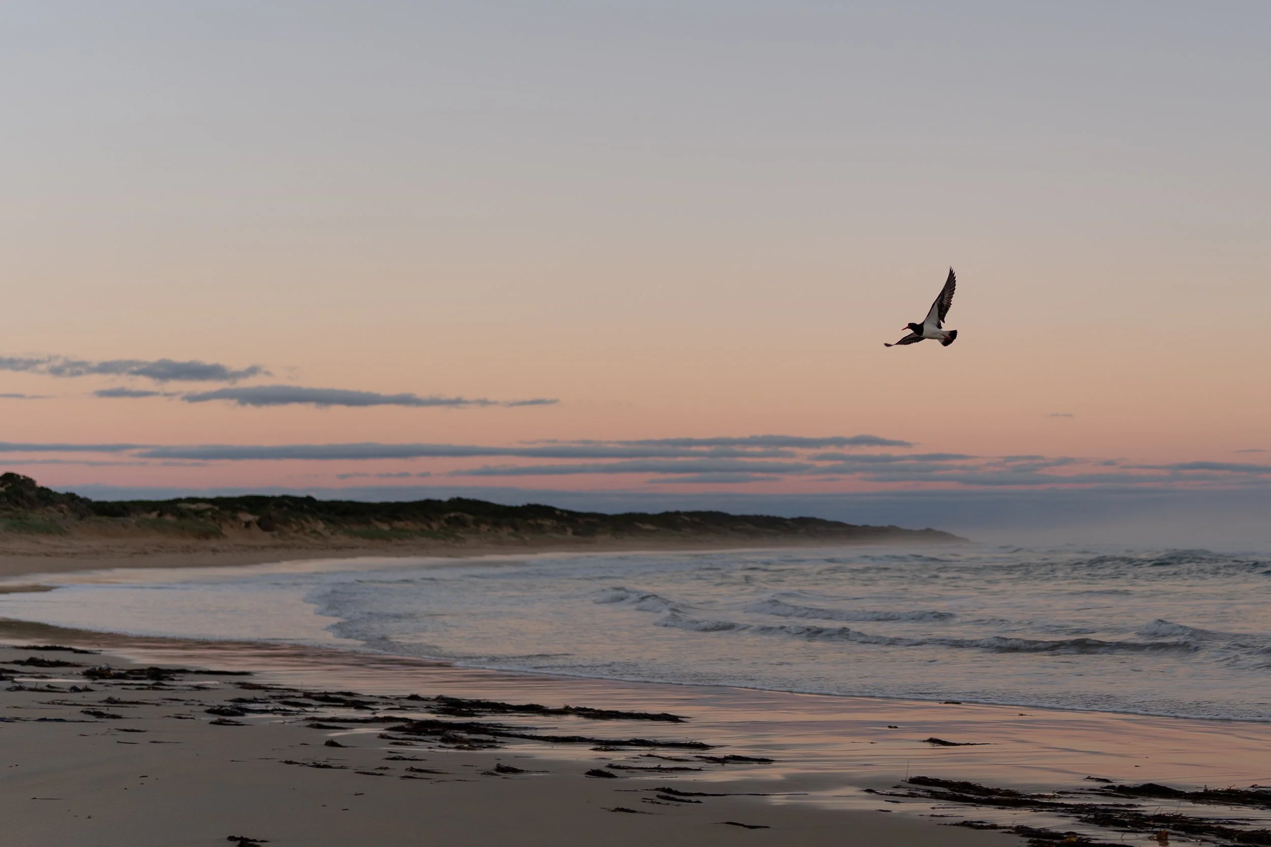 Yambuk Beach Shack Landscape Aug 26-5.jpg