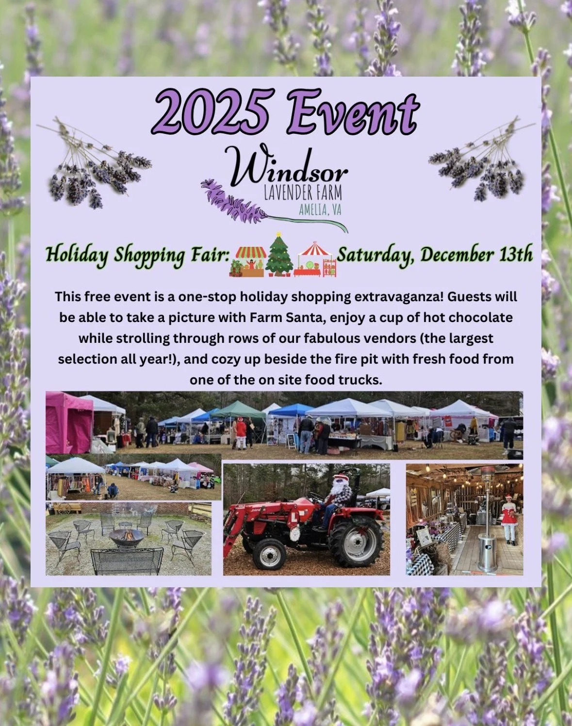 Windsor Lavender Farm