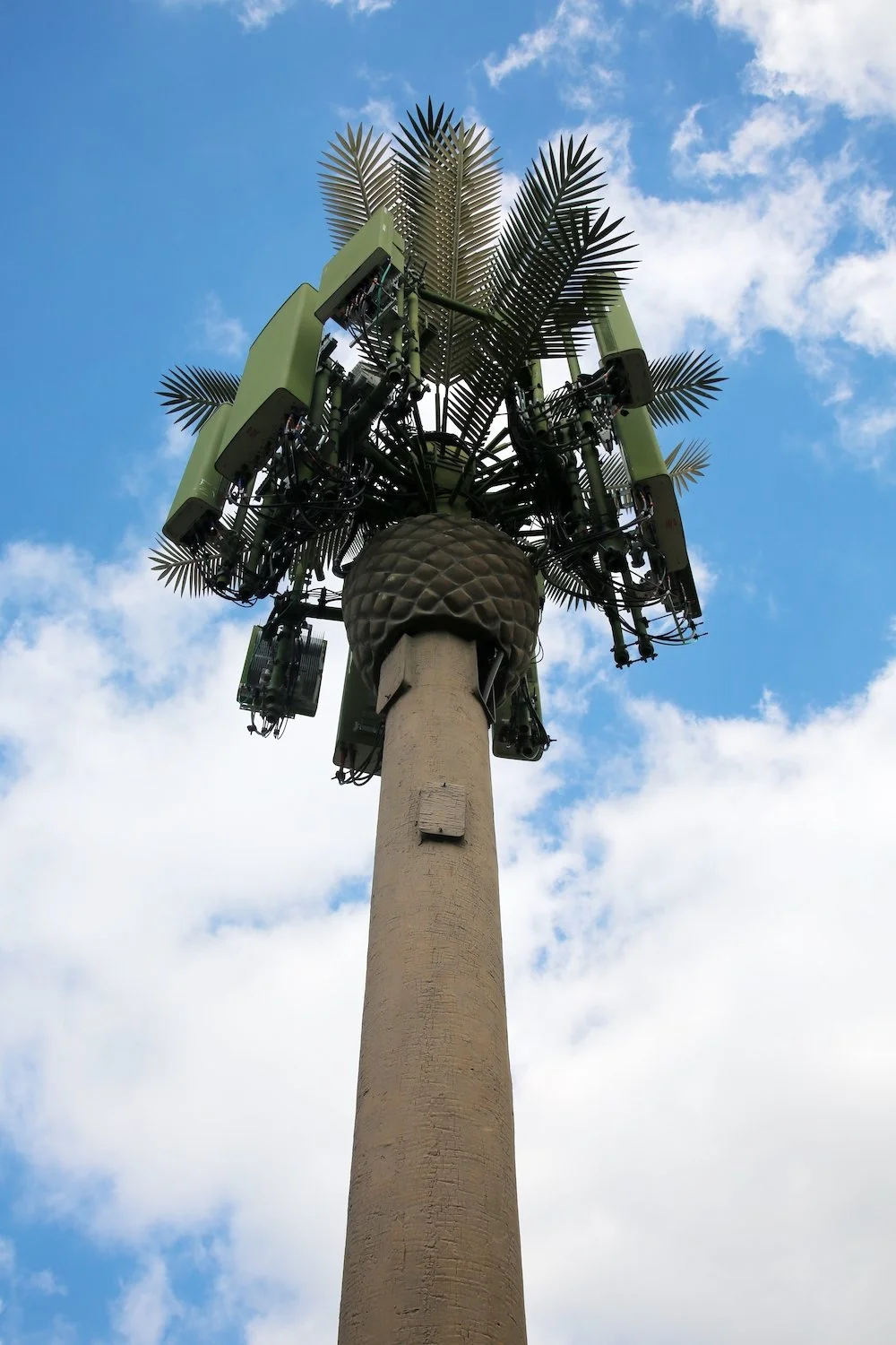 Close-up of a palm tree-shaped cell tower with solar panels, set against a blue sky with scattered clouds.
