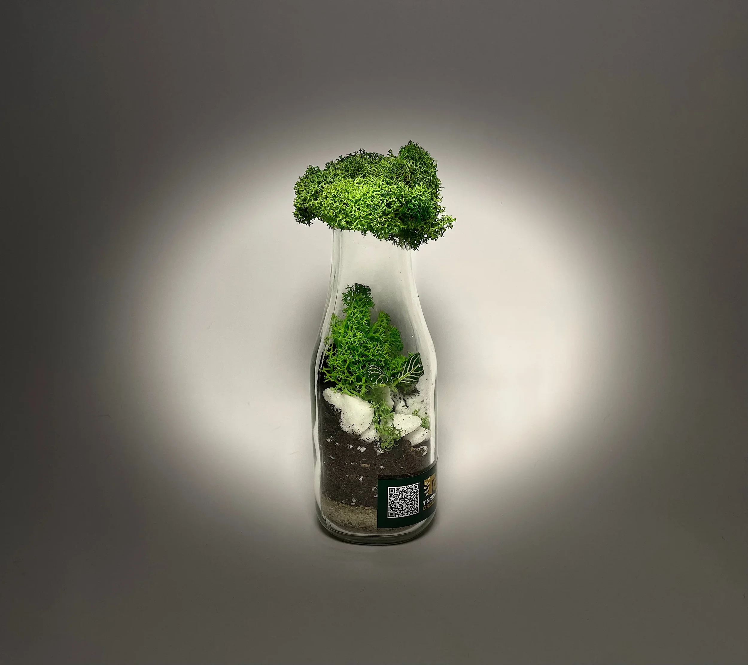 s729110978868622810_p4_i2_w3398.webp