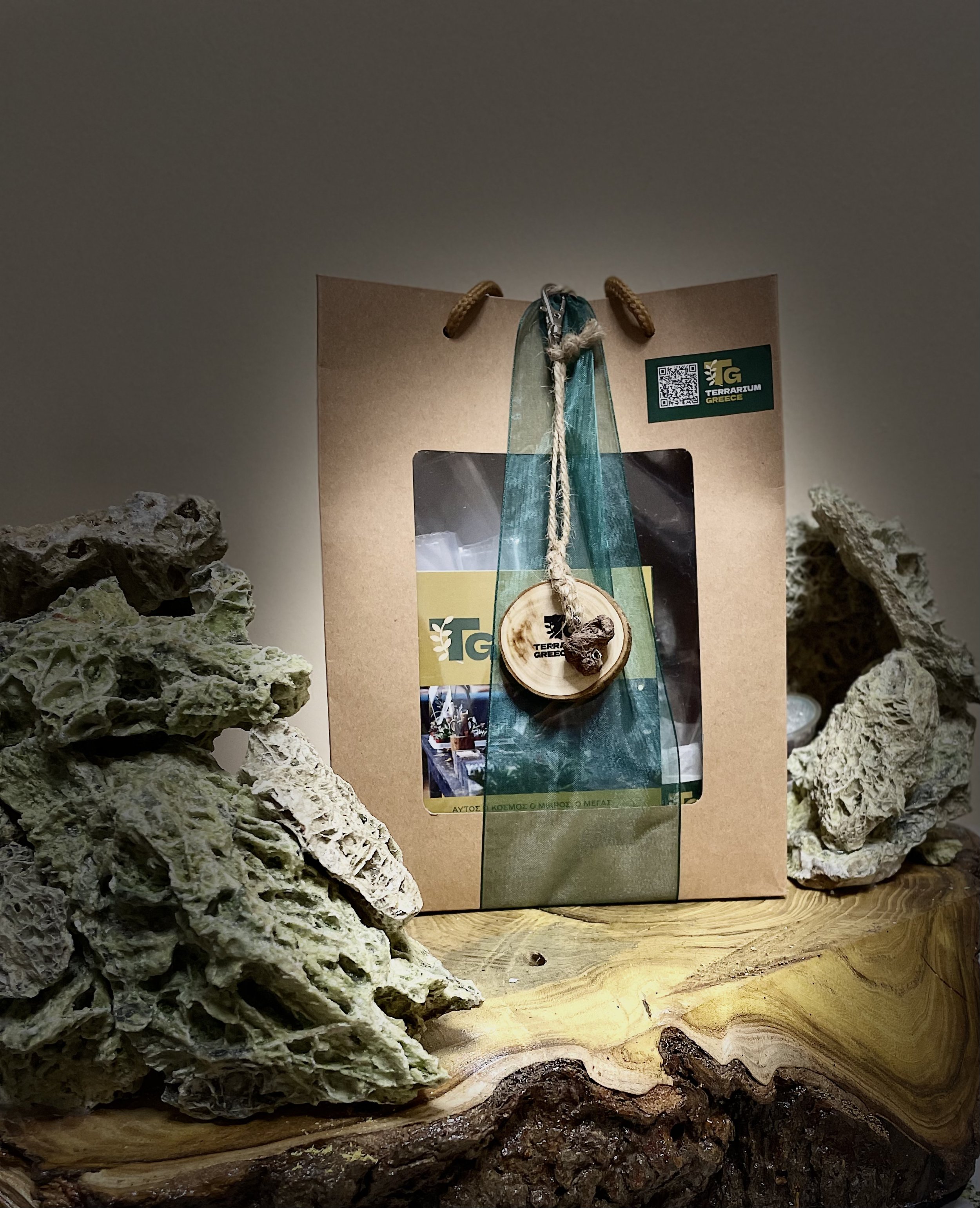 Terrarium Kit