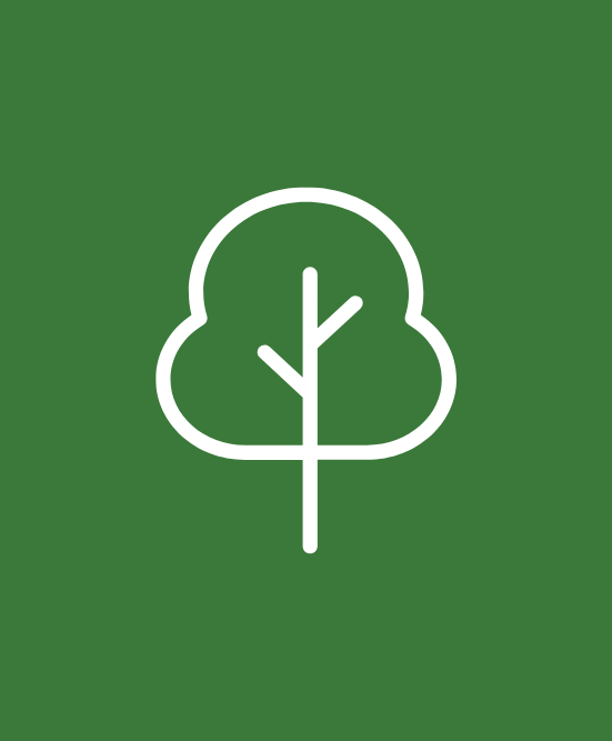 Icon, tree