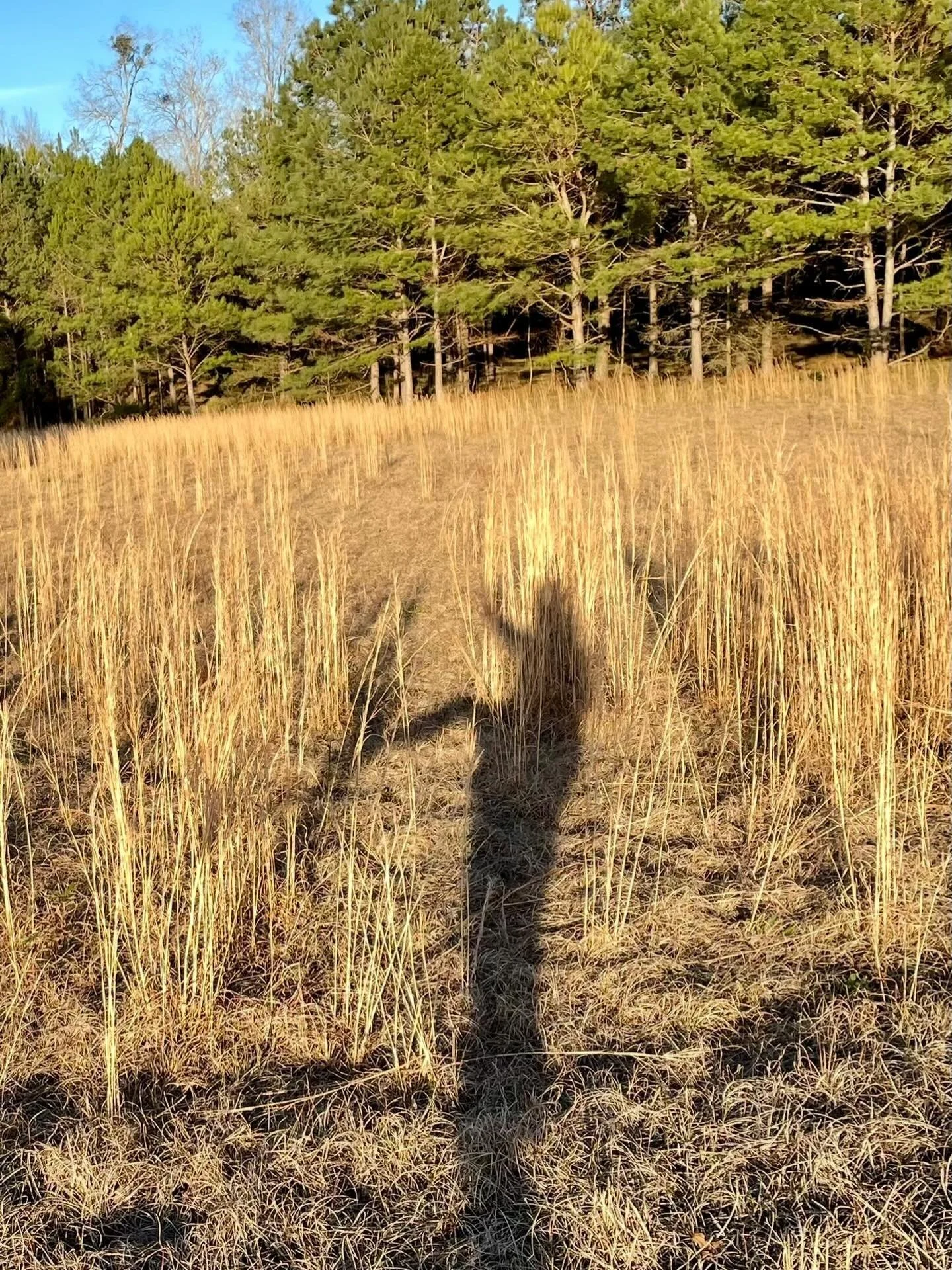 Whoo-Whoo we made it through January - I&rsquo;ve been behind the scenes, laying low with maintenance projects and keeping plants &amp; pipes from freezing! February feels fresh. Reunions and retreats are on this month&rsquo;s calendar, and of course