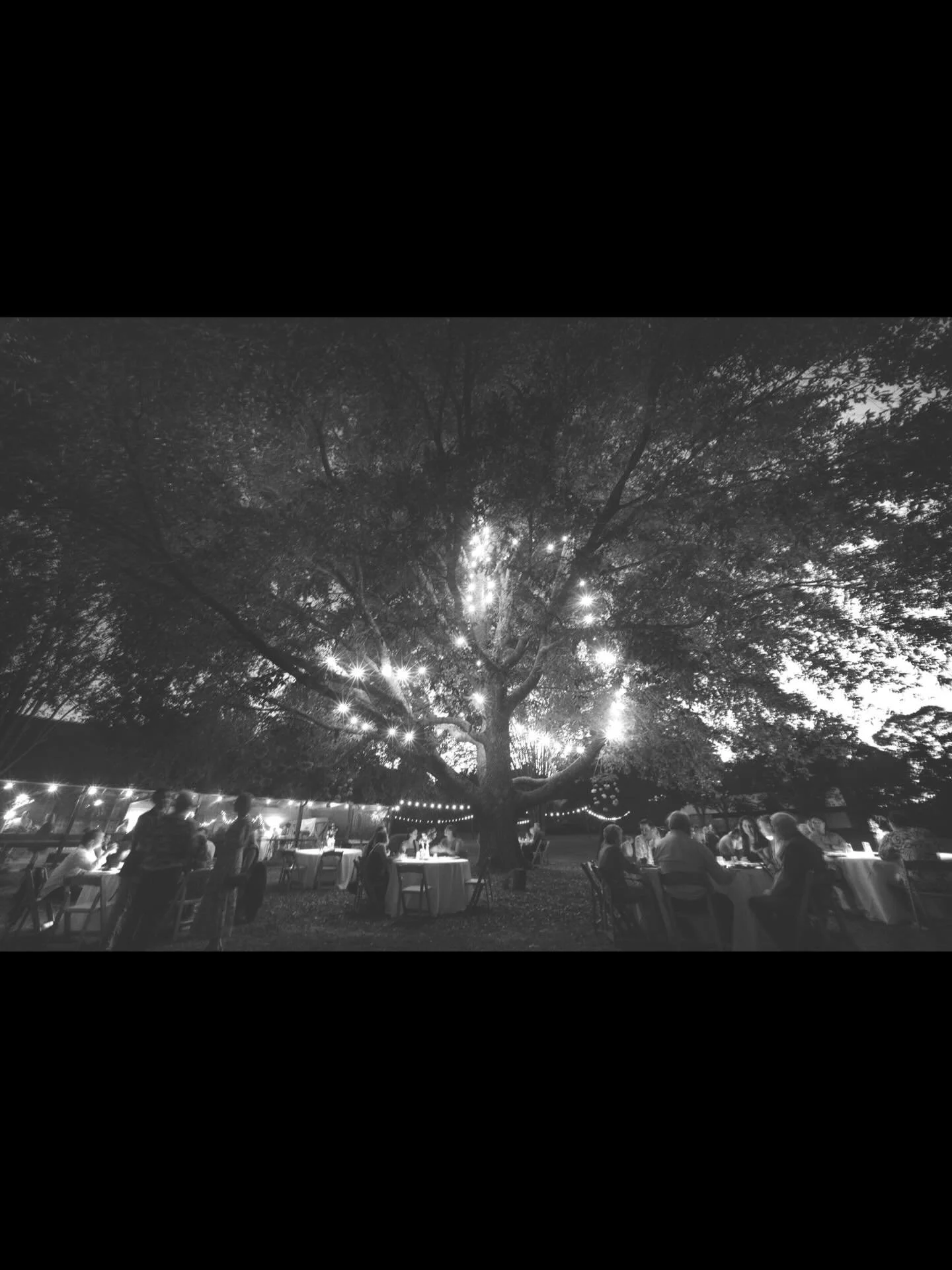 Many Magical Memories have been made here with more to come! The Green Bell specializes in weddings, retreats and happy occasions of every kind. Oh and hey, there&rsquo;re a few fabulous 2026 dates still available- October 24th and 31st, November 21s