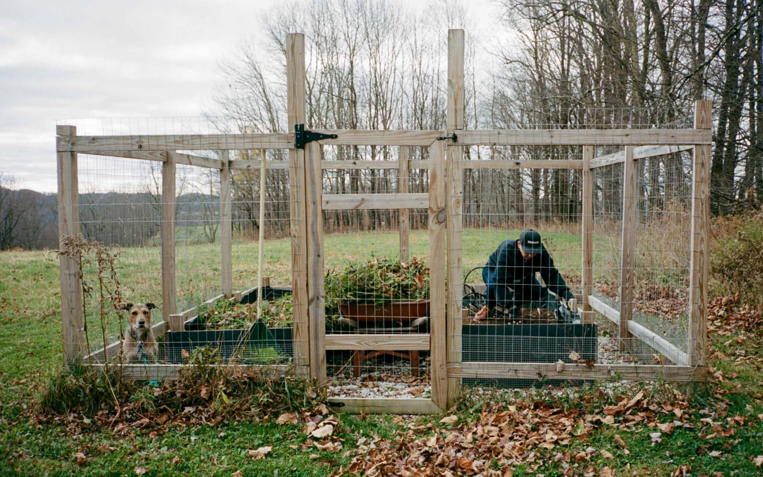 20241120_contaxT3_portra400_upstate_rocky_016.jpg