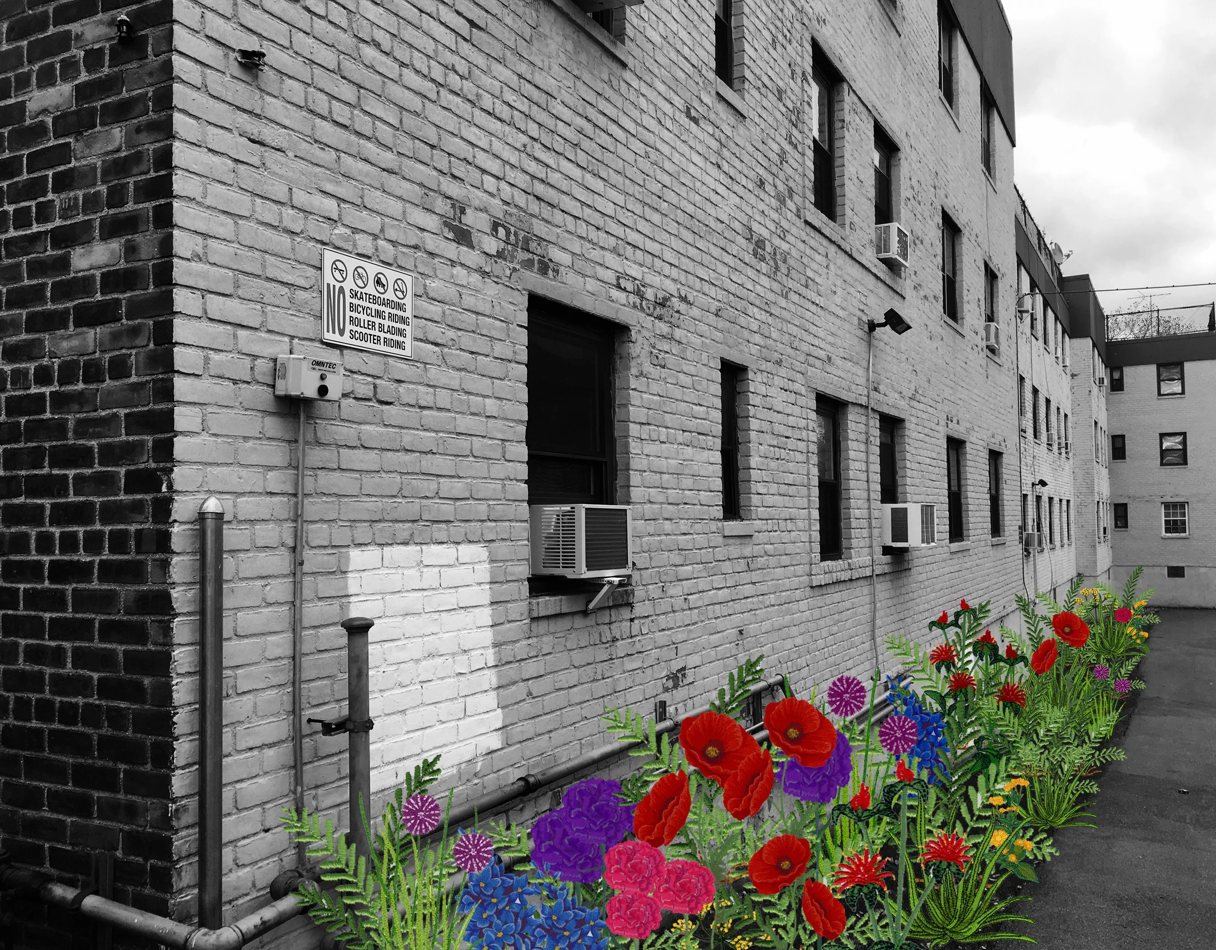 From the Kitchen Window