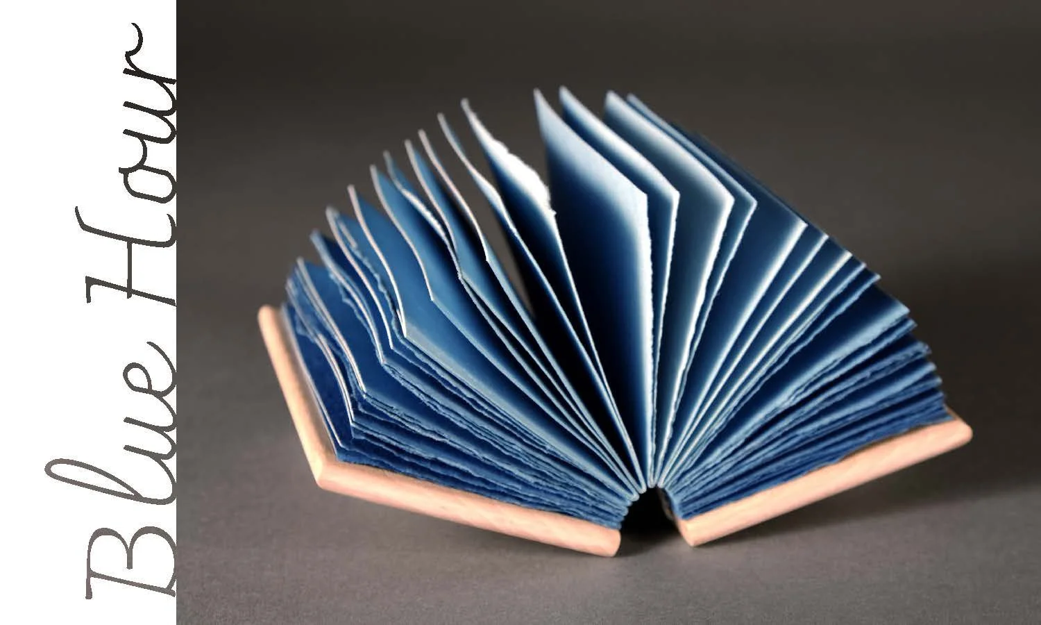 Magda Parasidis Resist from Ghosts in Sunlight exhibit in Blue Hour show at Intersect Arts Center St. Louis, MO