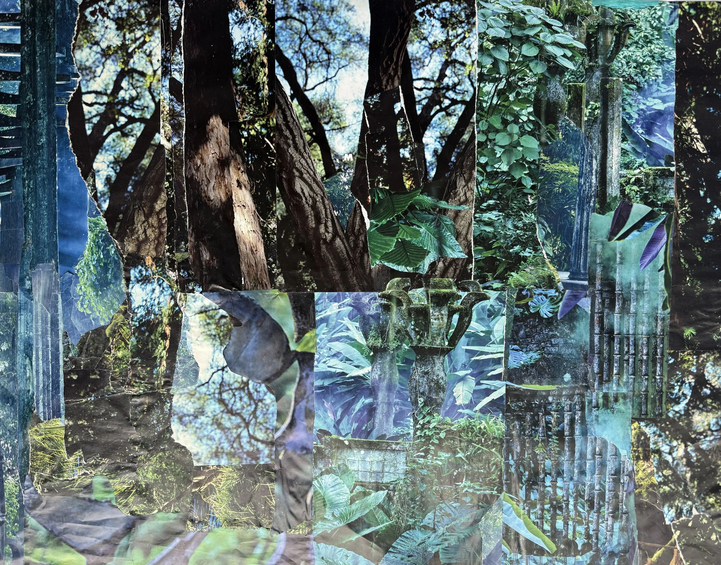 Collage / Jungle