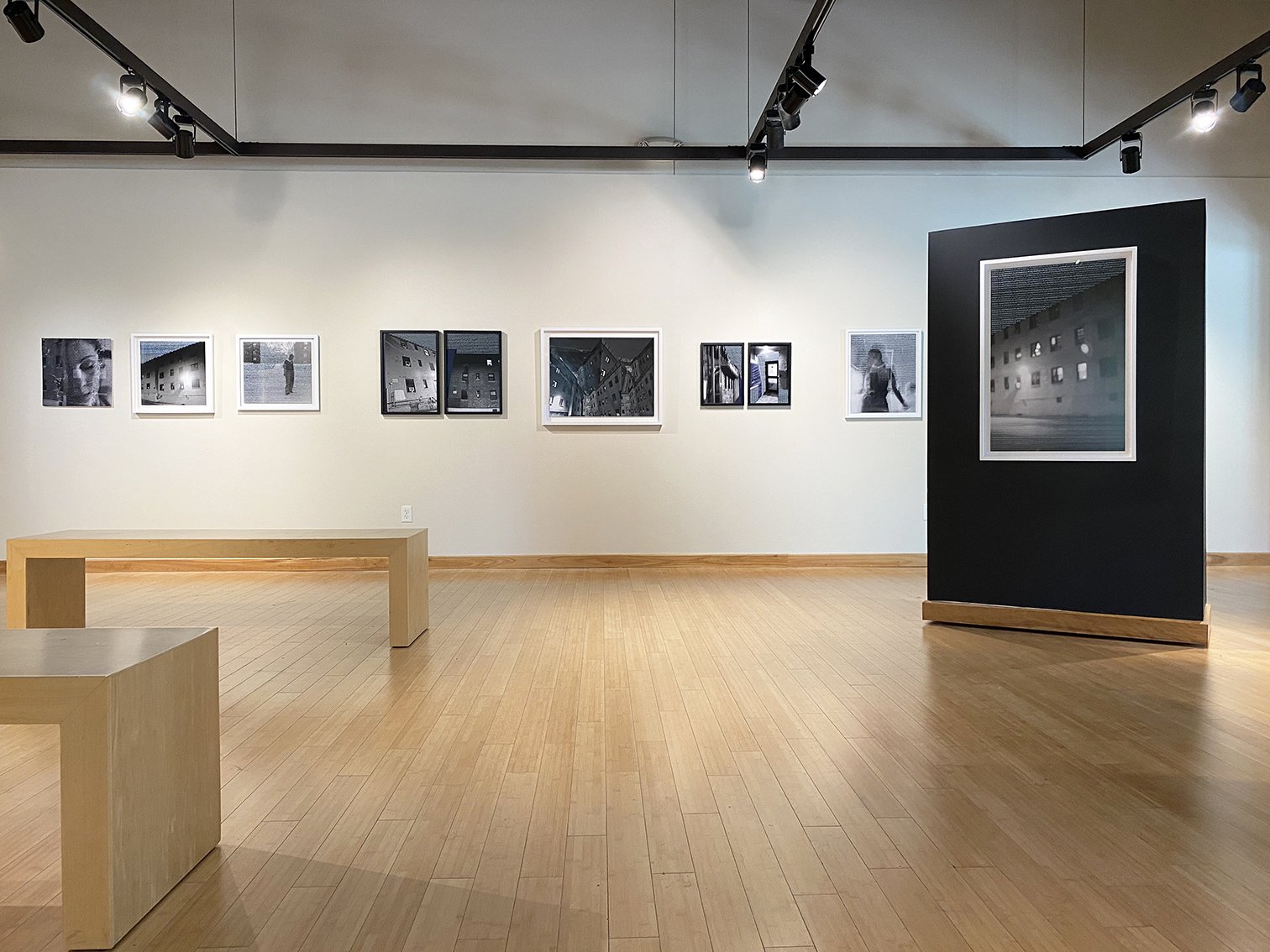 Magda Parasidis Ghosts in Sunlight Text Photo How Much We Surrender Installation View Otterbein University exhibition Columbus OH