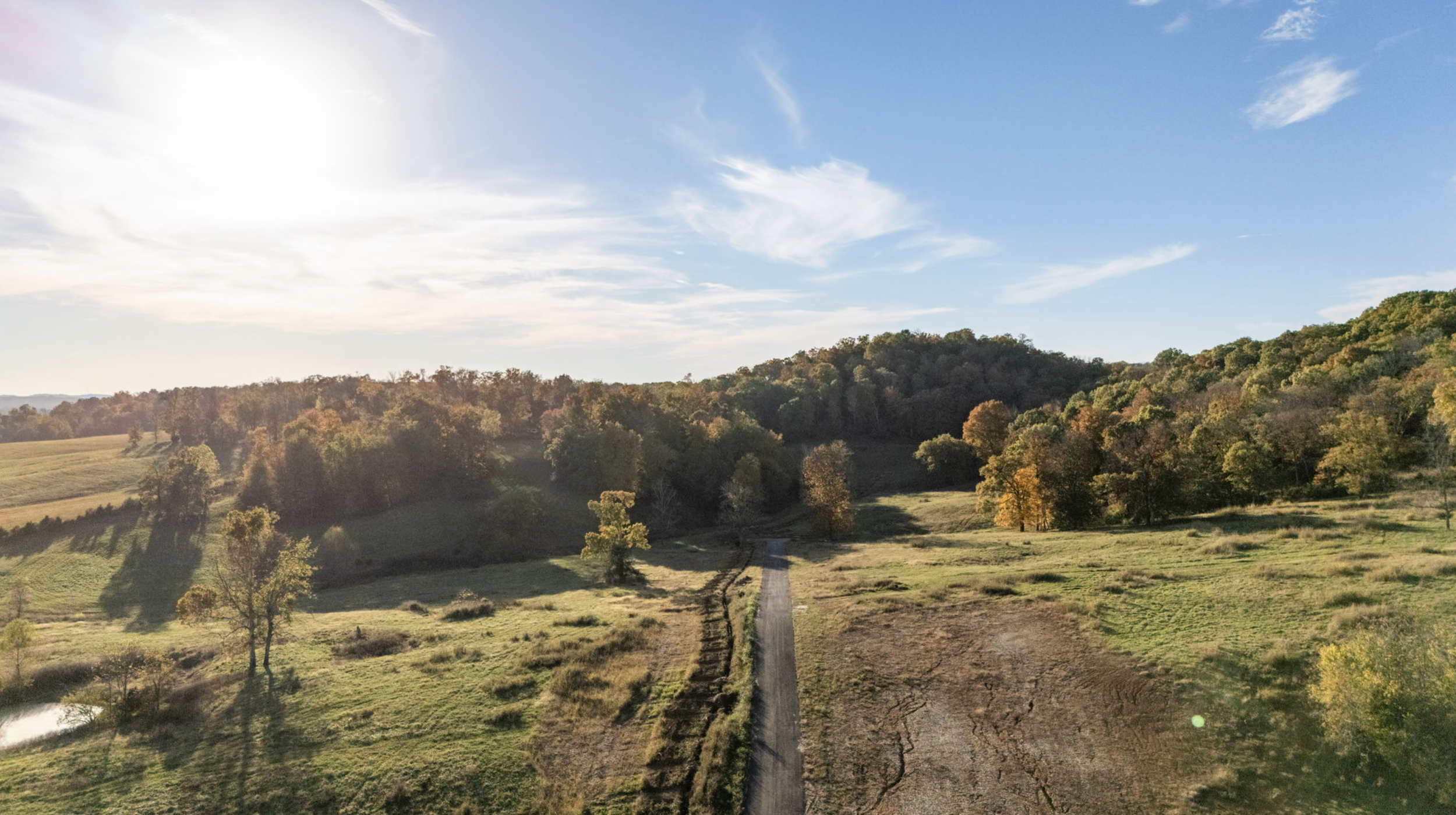 A rural landscape with a dirt road running through green fields and a wooded hillside in the background under a sunny sky with some clouds.