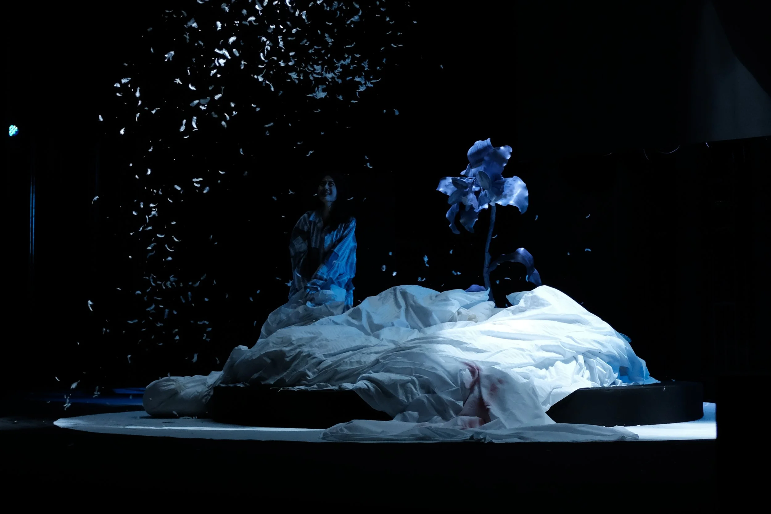 2024-05-28 235623.jpg