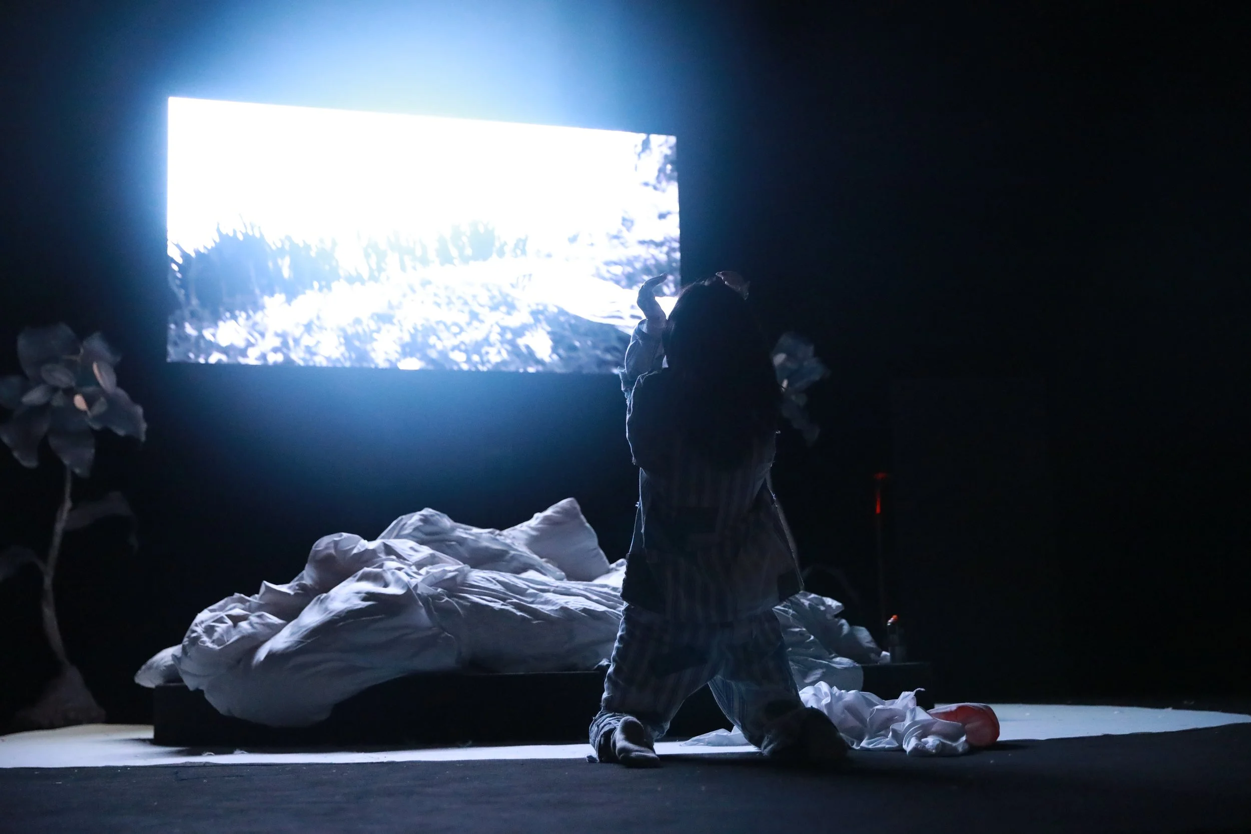 2024-05-29 205045.jpg