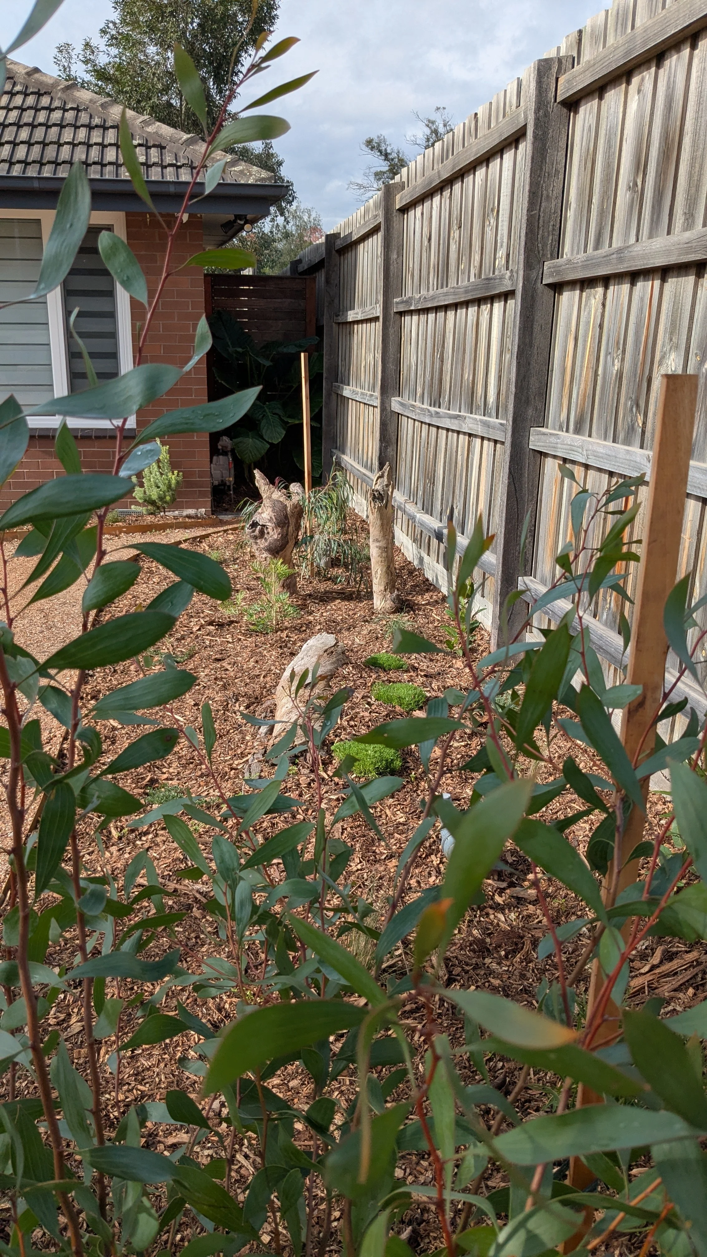 A backyard garden area with green plants, a tree stump, and a wooden fence. Part of a house with a window and brick wall are visible in the background.