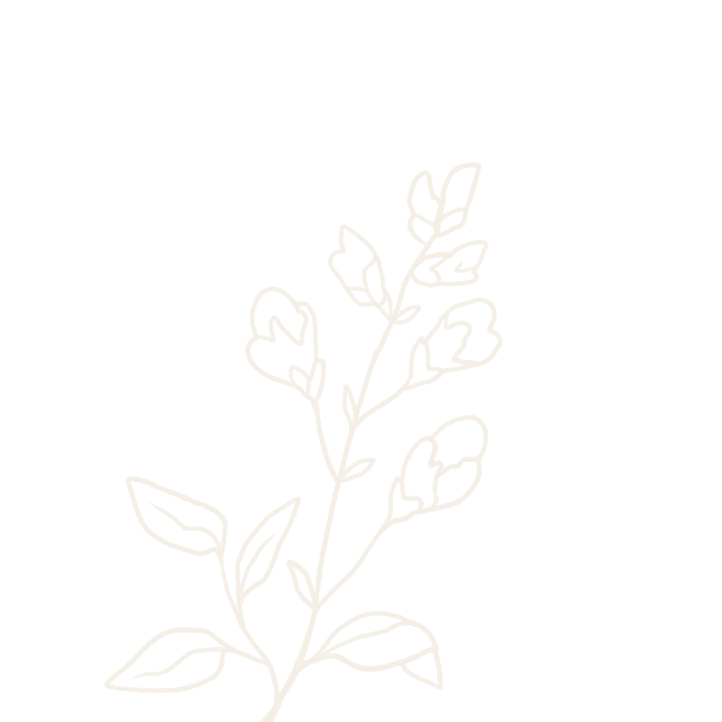 Outline drawing of a bunch of herbs, including basil, rosemary, and thyme, on a black background