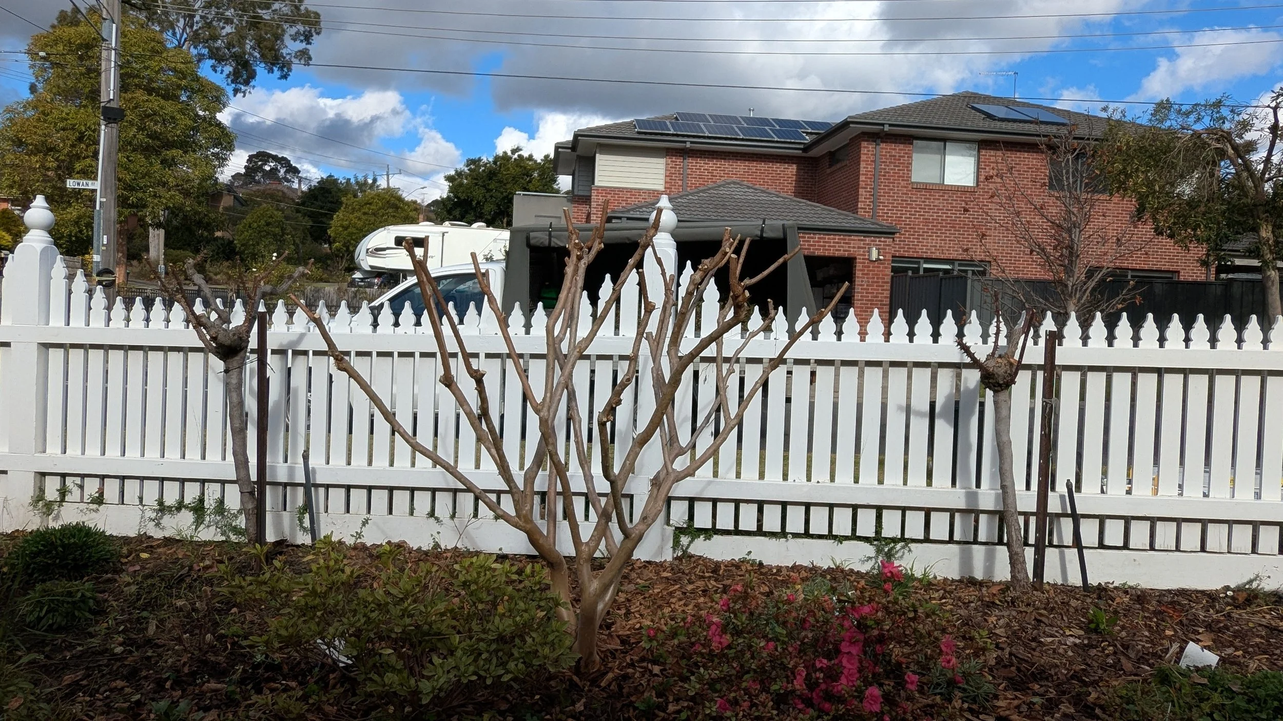 A backyard with a white picket fence, two pruned trees, some bushes and pink flowers in the garden bed, a brick house with solar panels, and a blue sky with clouds.