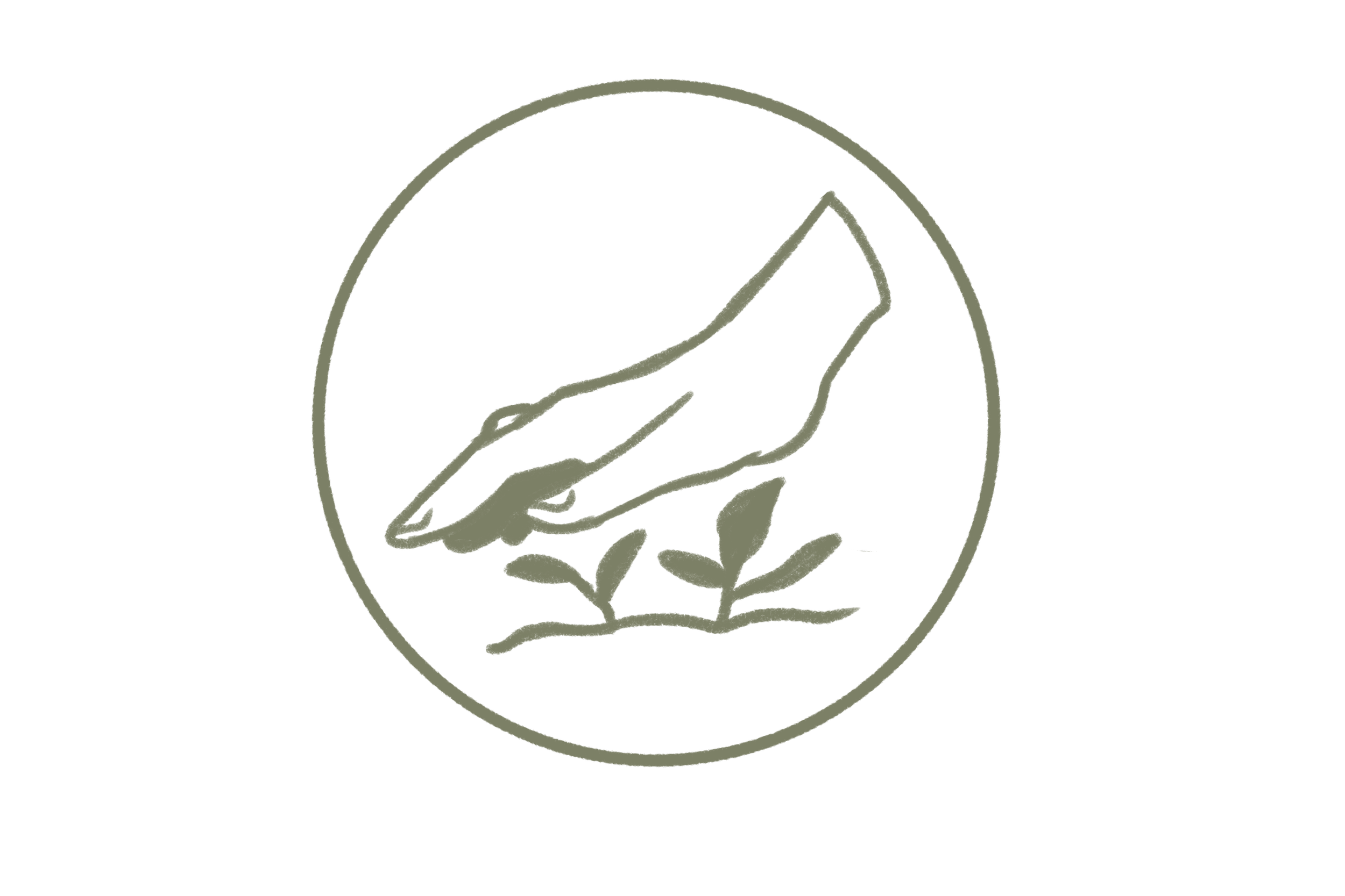 Simplified line drawing of a hand holding a plant, enclosed in a circle.