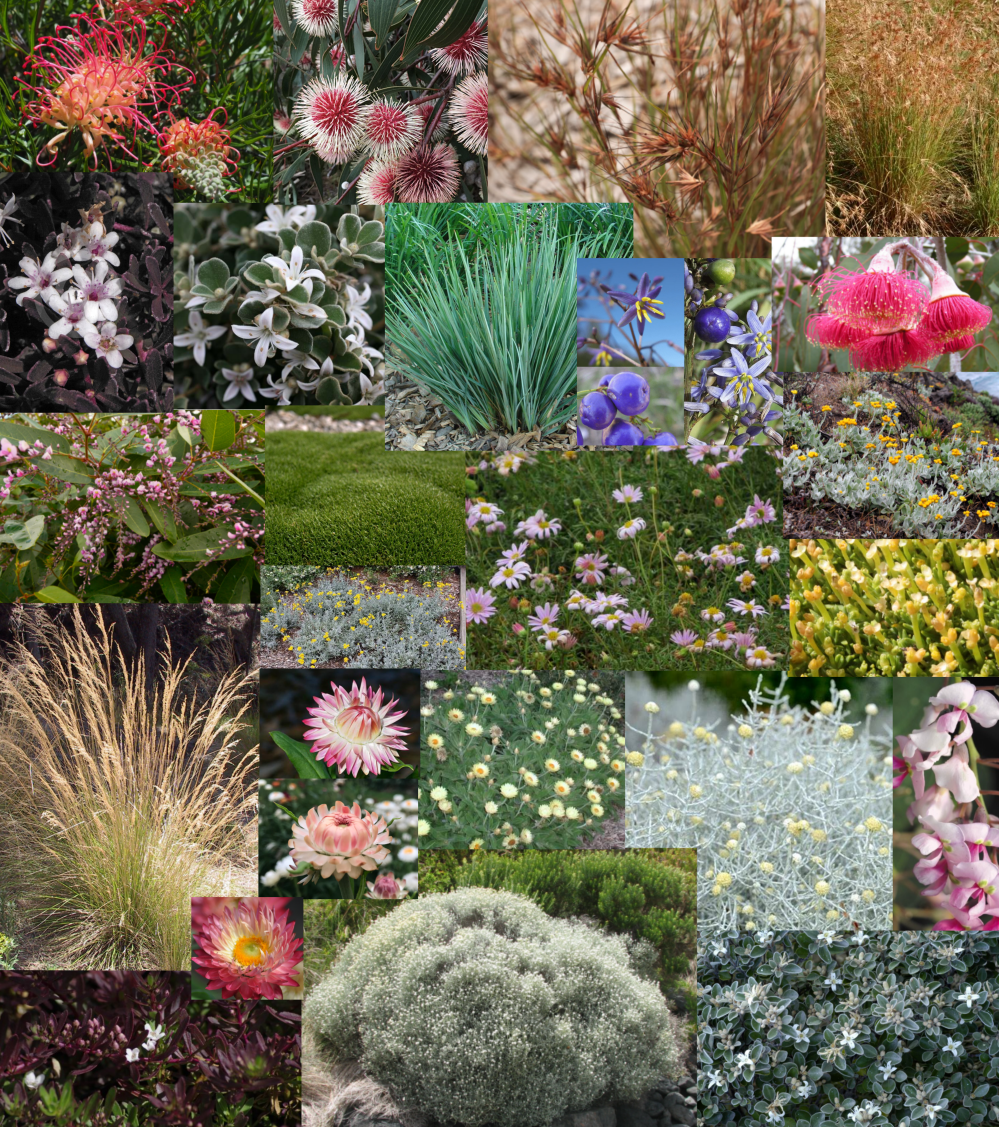 Screenshot 2026-03-07 222648.png