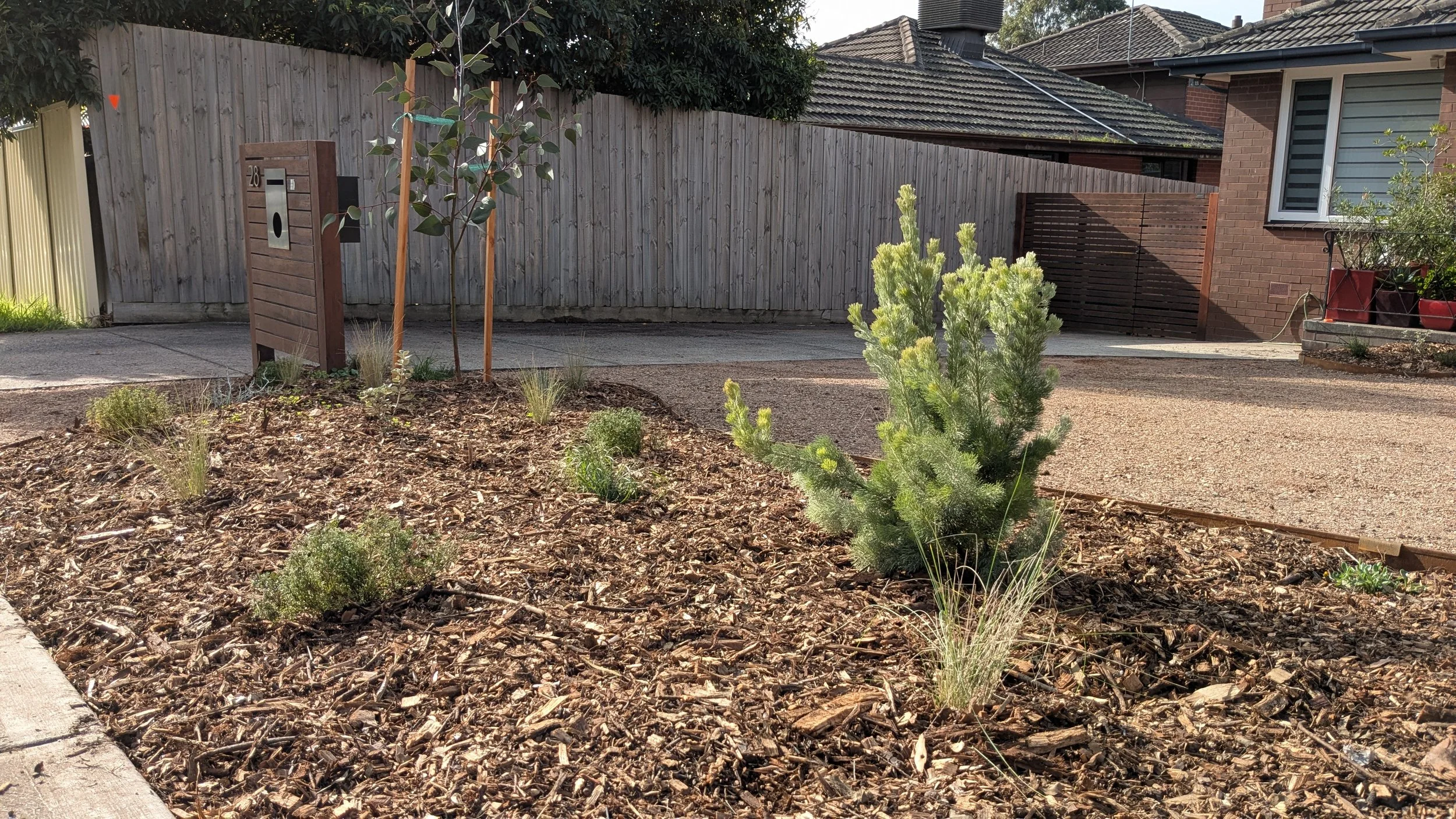 A garden with young plants and shrubs in a mulched area next to a parking lot, with a wooden fence, and a brick house in the background.
