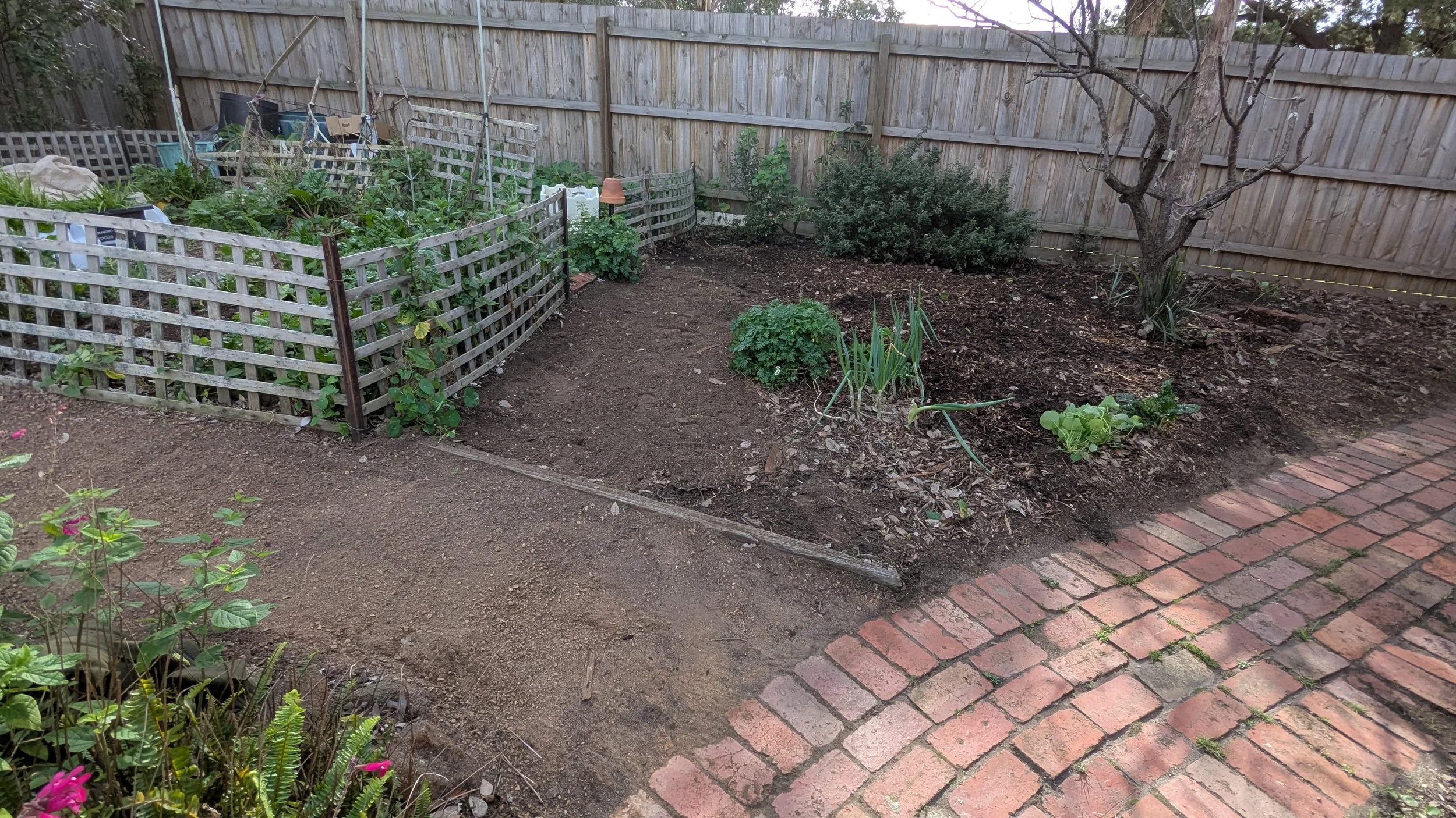 A backyard garden with a wooden fence, a newly tilled soil bed, small plants, a brick pathway, and some garden tools and equipment in the background.