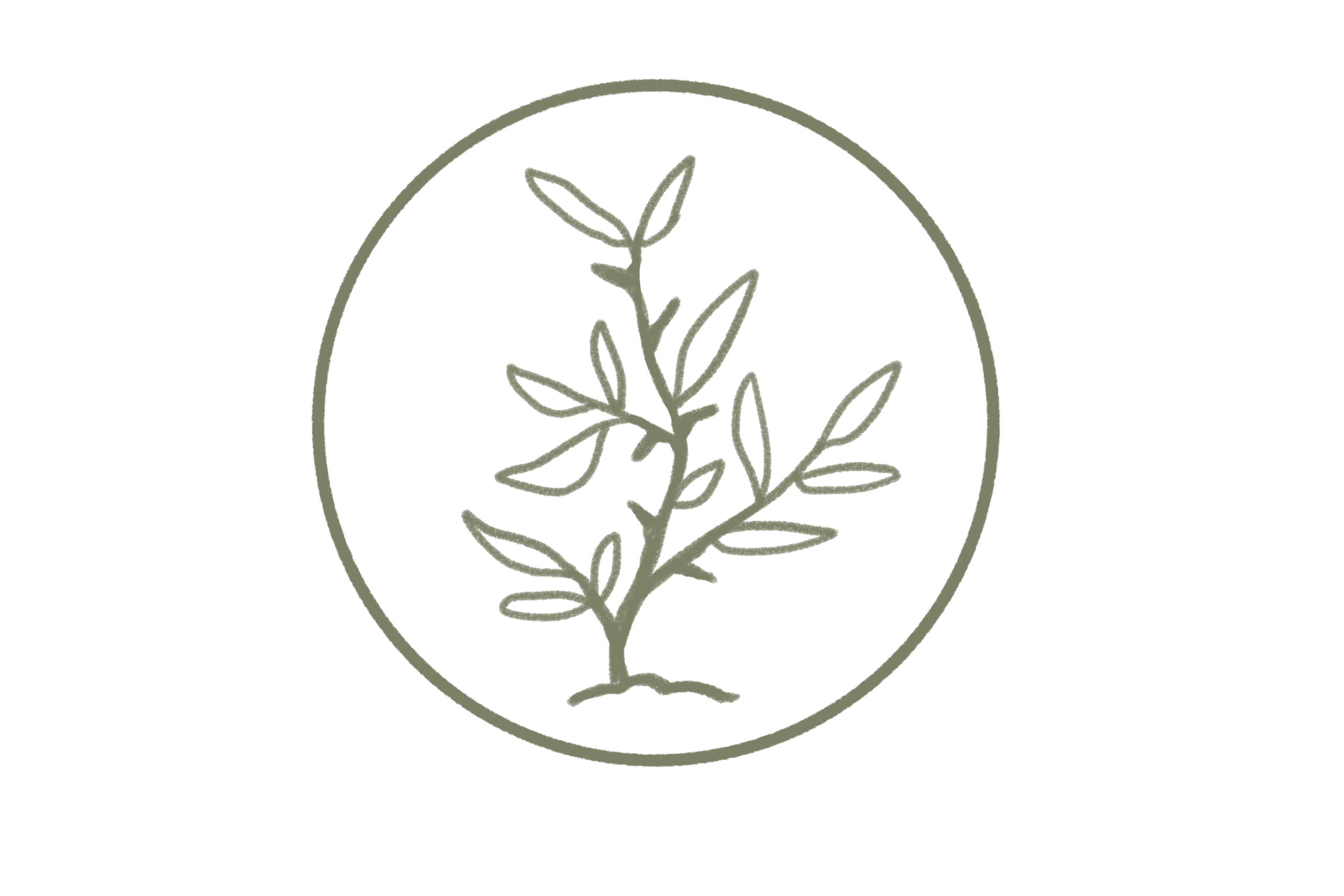 Minimalist logo featuring an olive branch inside a circle on a black background.