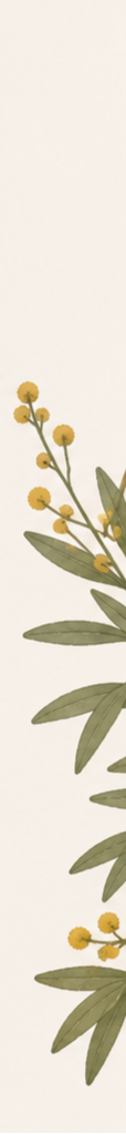 Illustration of yellow round flowers with green leaves on a beige background.