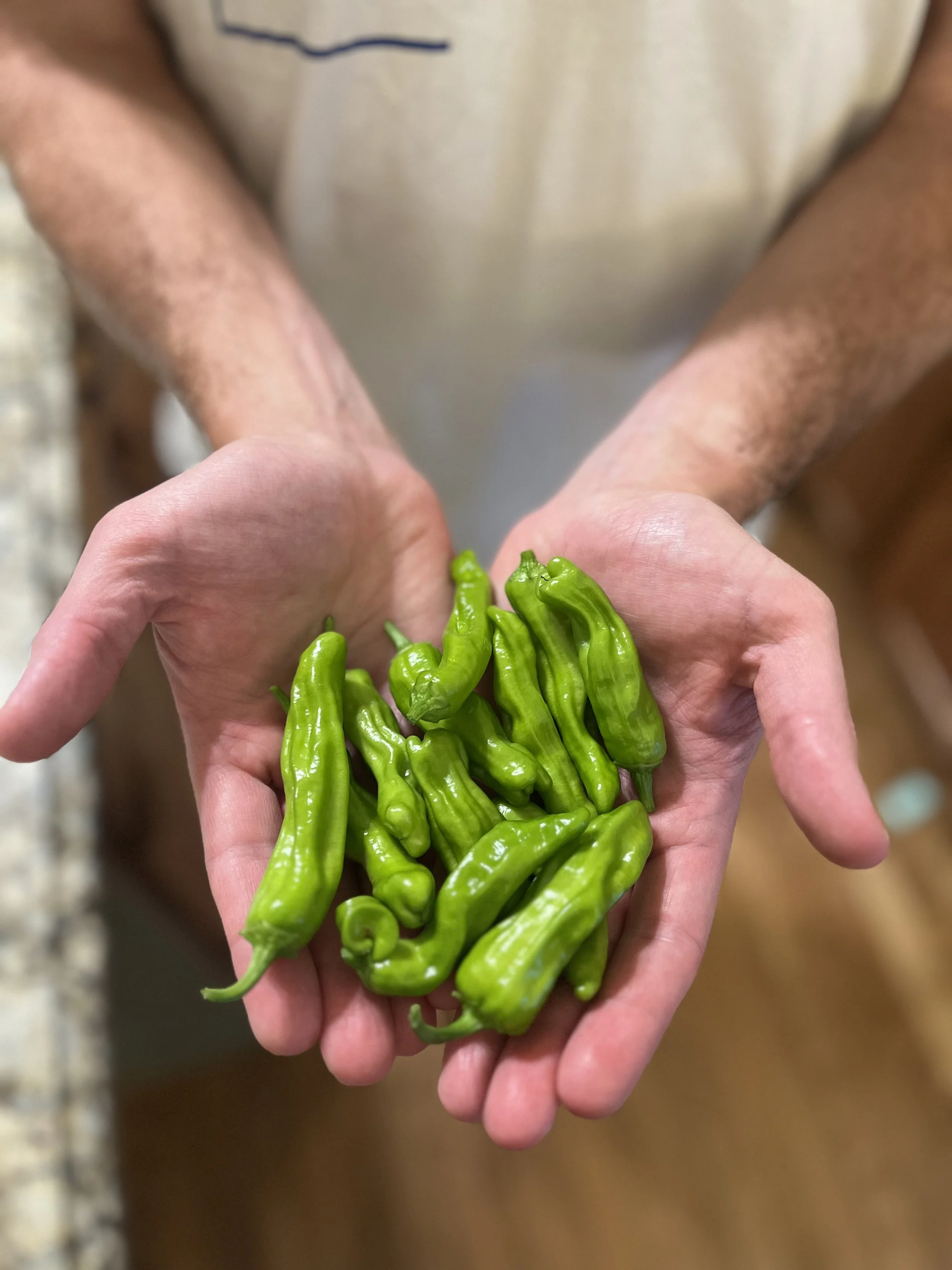 5 Reasons to Start a Garden in 2026