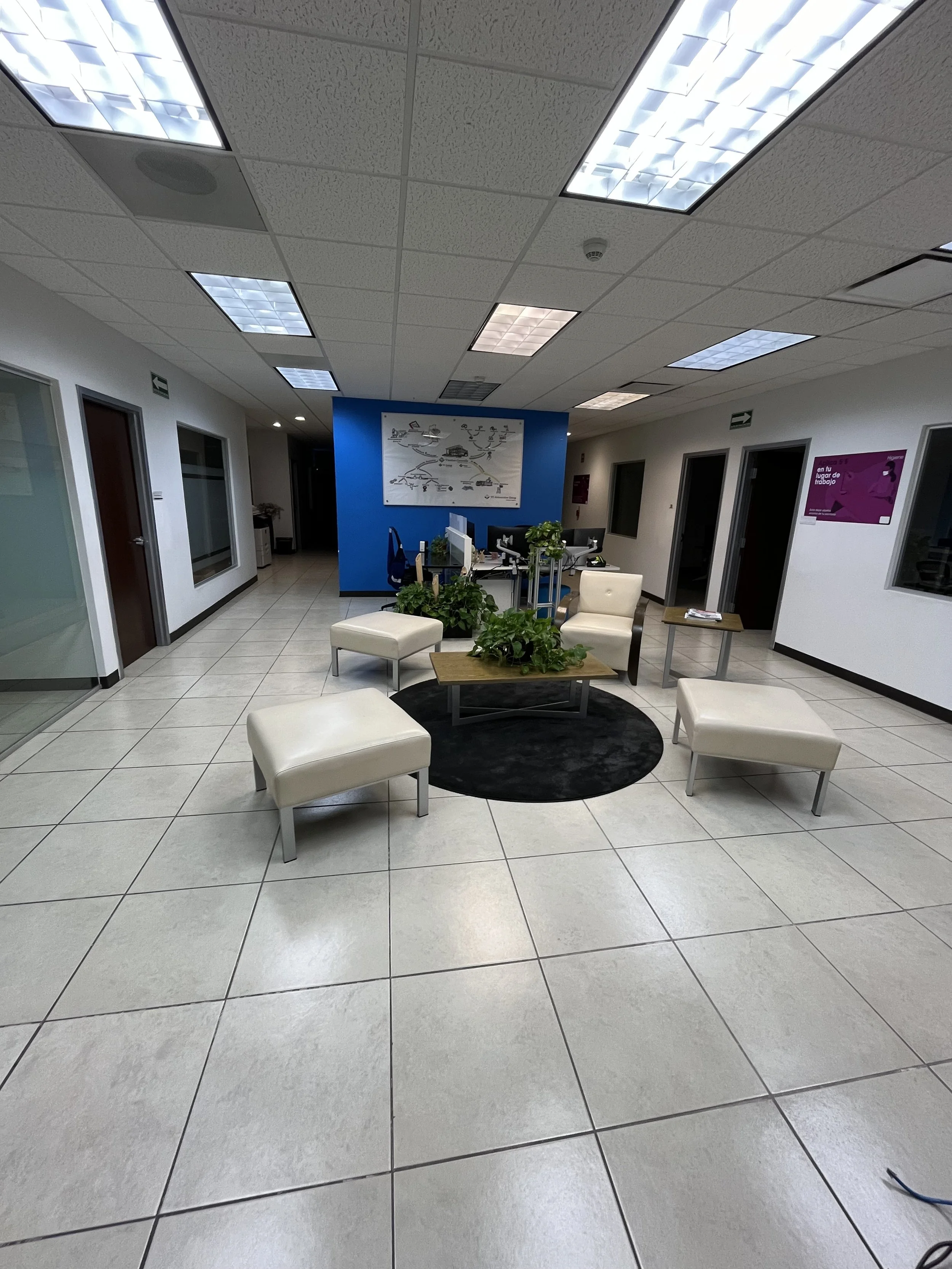 Sala de espera con sillones blancos, mesas de centro con plantas, oficina con escritorios y computadoras, paredes blancas con ventanas y un muro azul con un mapa, techo con luces fluorescentes.