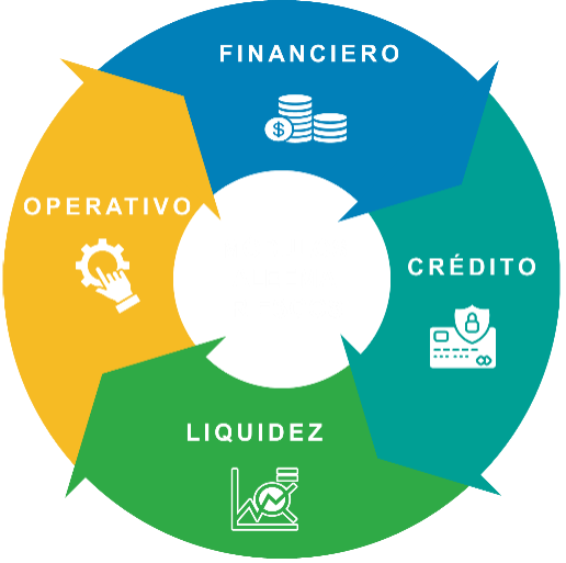 Diagrama circular con cuatro secciones: financiero con icono de monedas, crédito con icono de tarjeta y escudo, liquidez con gráfico en ascenso, operativo con engranaje y mano.