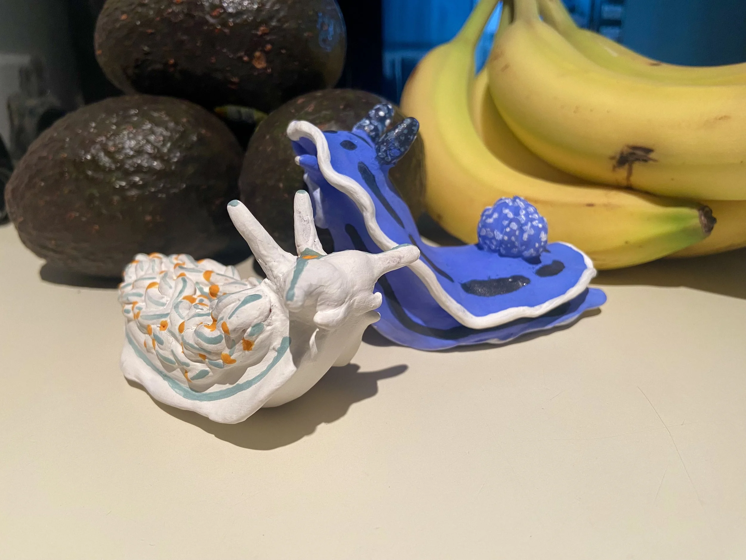 Nudibranch ( aka Sea Slug) Salt & Pepper Shakers.
2024.
Earthenware
