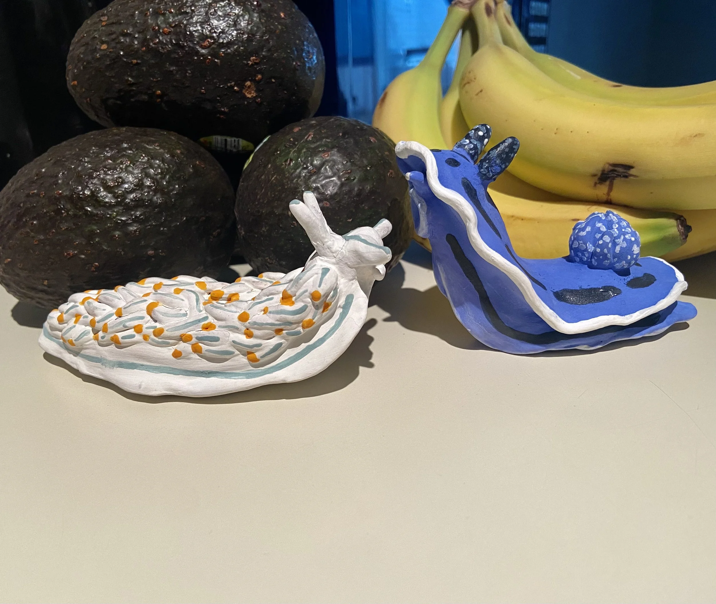 Nudibranch ( aka Sea Slug) Salt & Pepper Shakers.
2024.
Earthenware