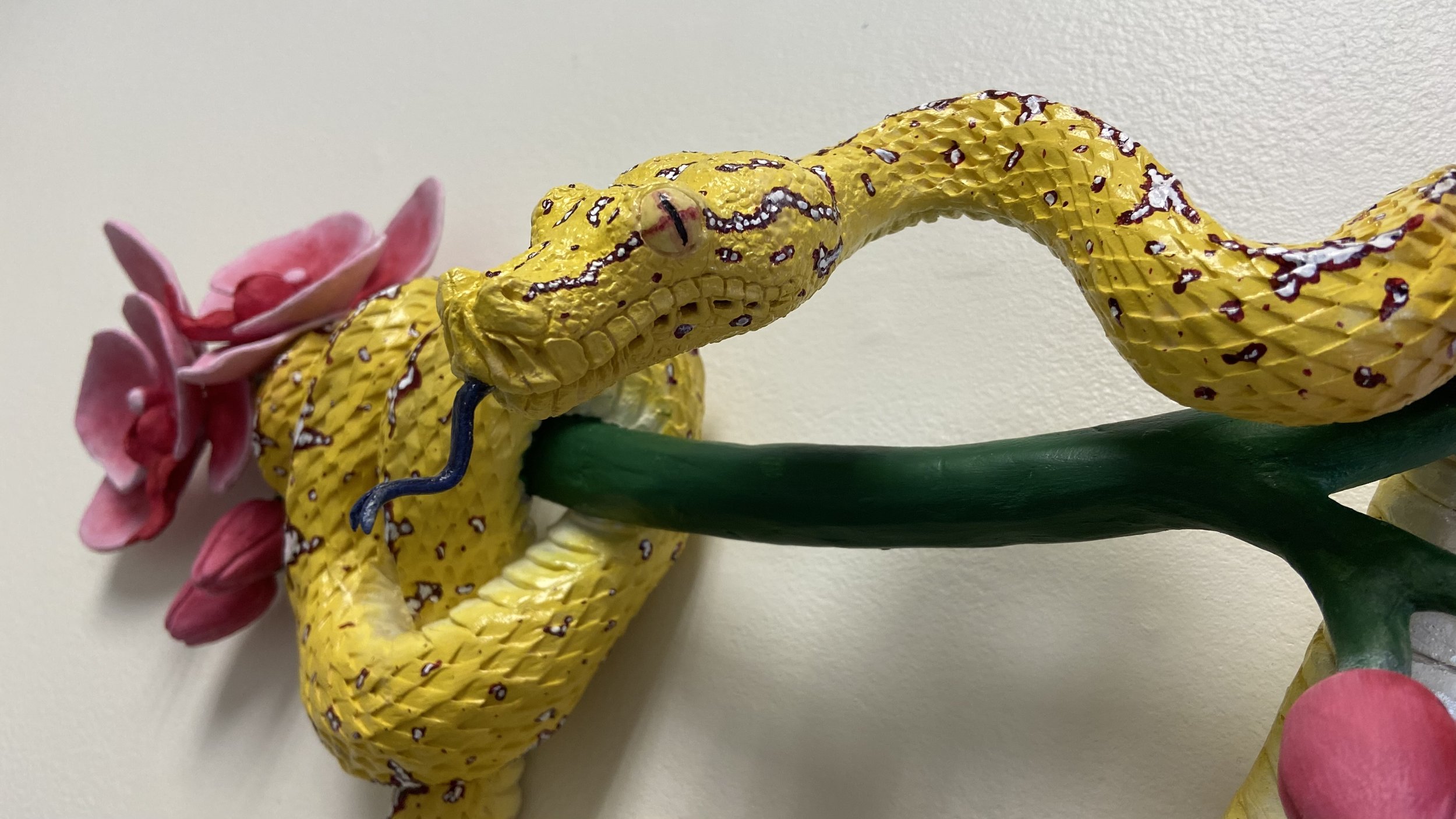 Green Tree Python
2020
Stoneware, Acrylic, Gouache 