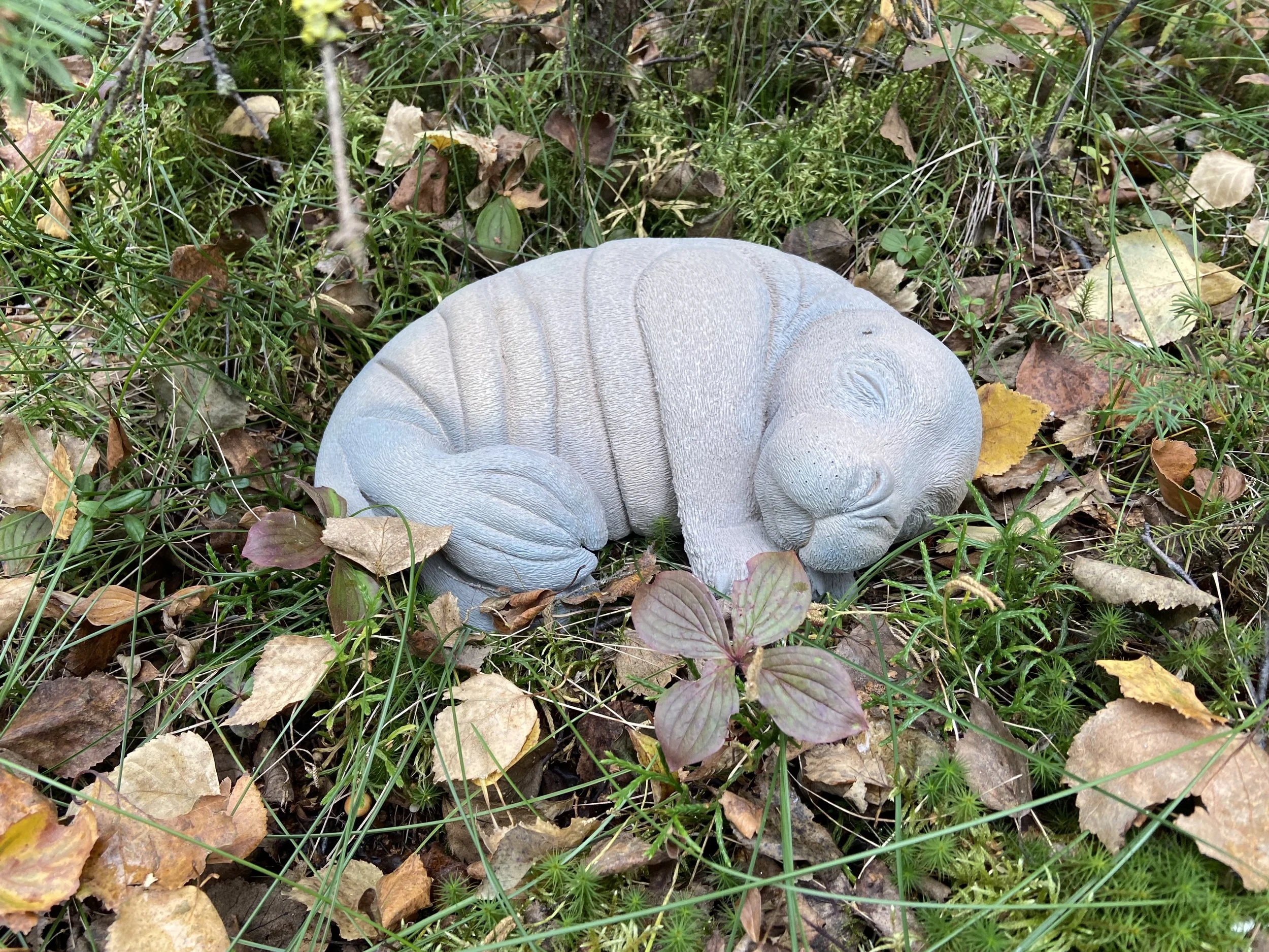 2024.
Stoneware, Stain Wash.
13"x9"x5"