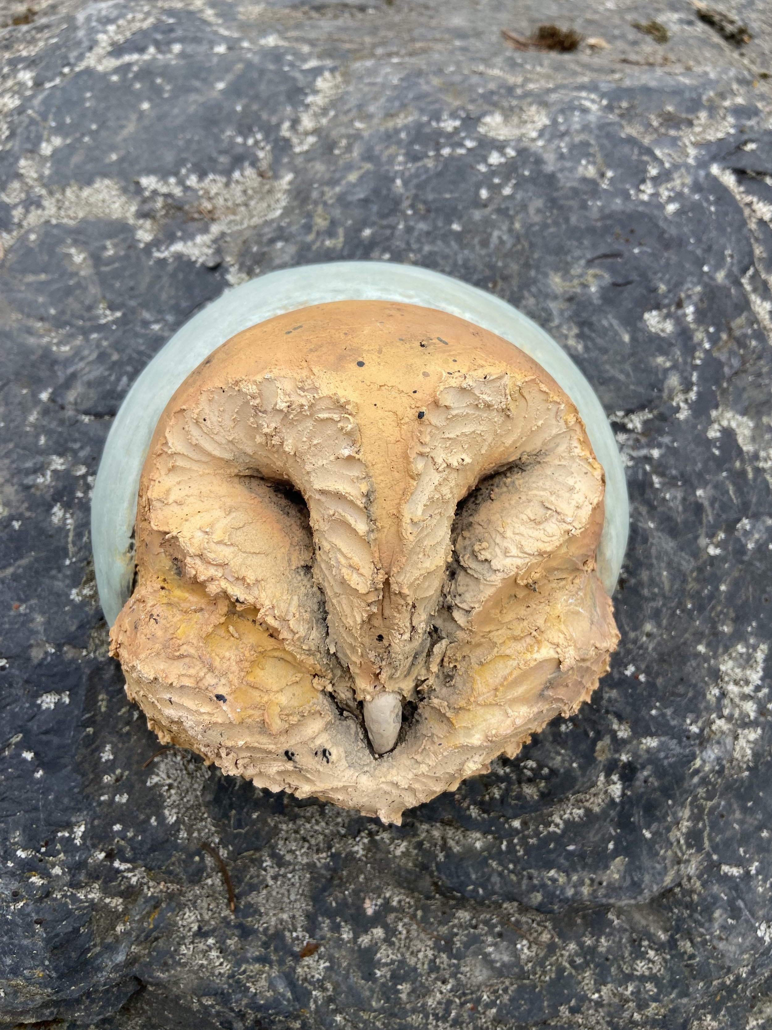 Owl 
2024
6" Diameter.
Stoneware, Stain Wash, Glaze