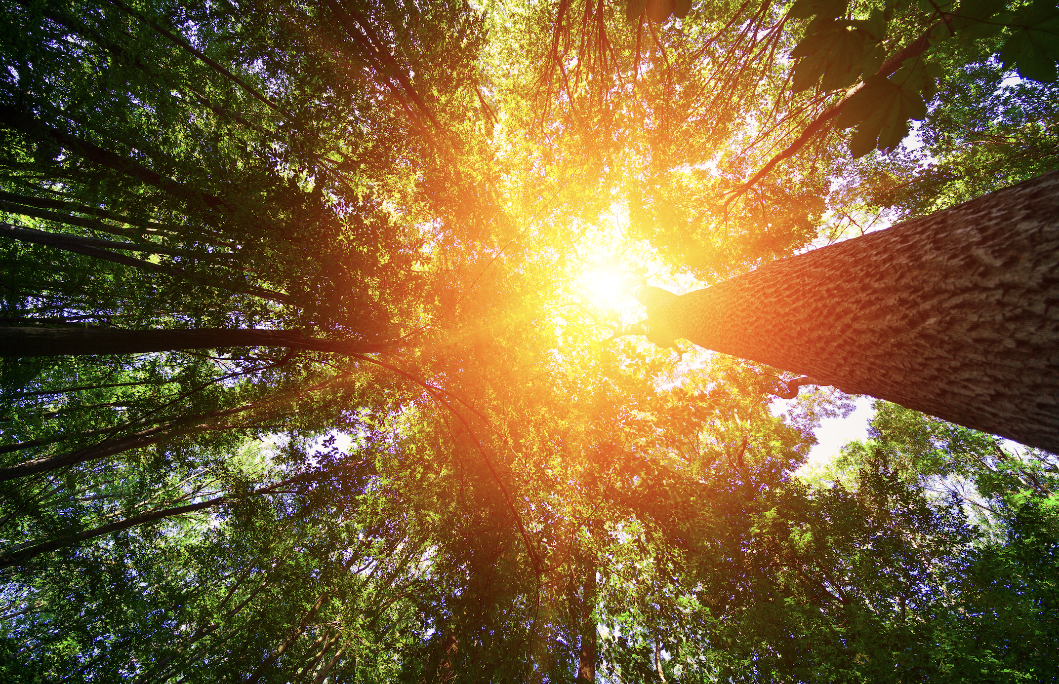 Micro-Recovery: The Leadership Skill Nobody Talks About