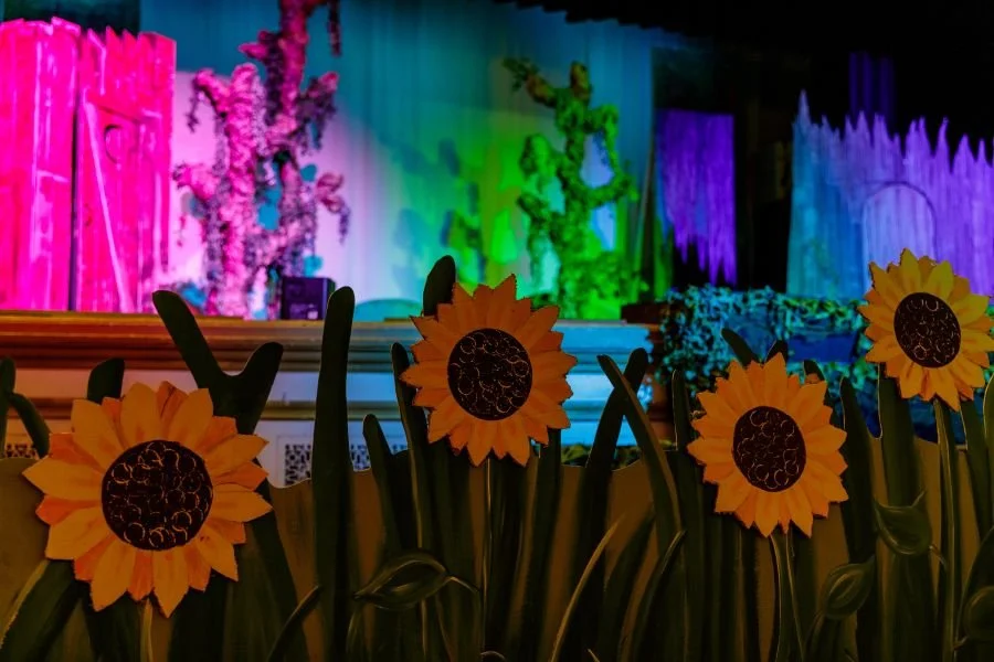 Stage62 - Shrek-001.jpg