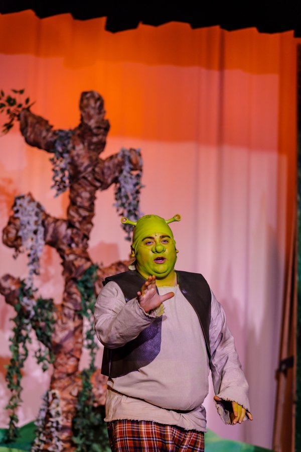 Stage62 - Shrek-031.jpg