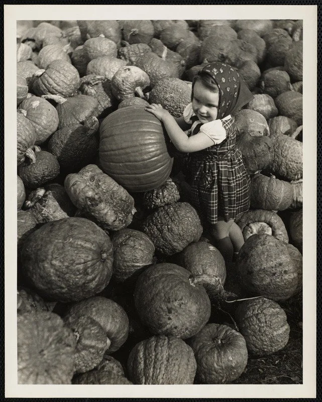 1935 - 1955. Griffin. Autumn.JPG