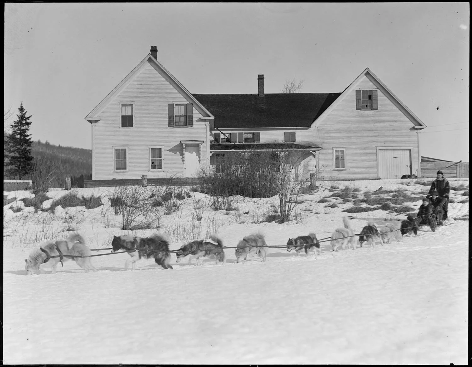 Jones - 1917-35 - Dog sled in West Milan, NH..jpg