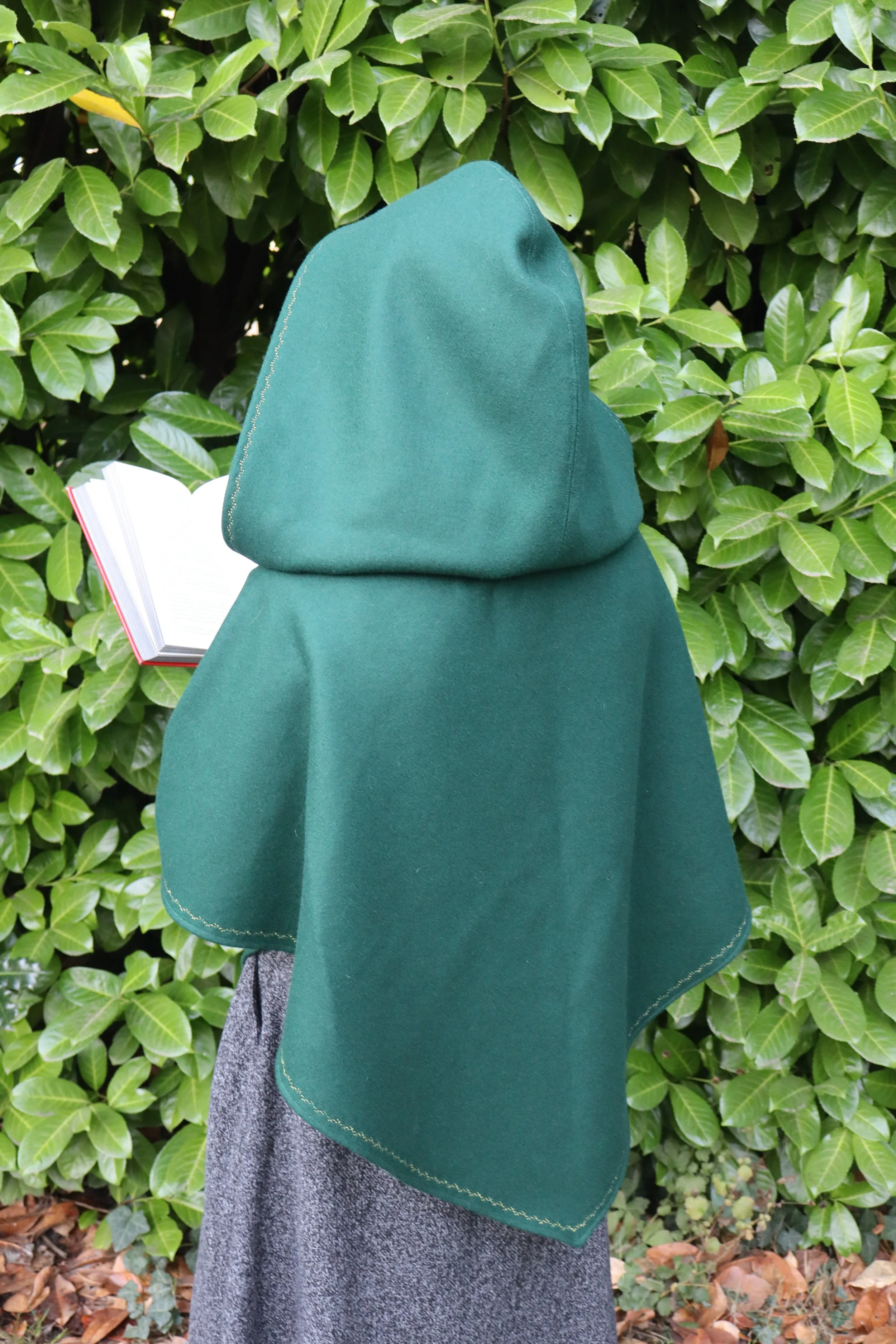 Person wearing a green hooded cloak, reading a book, with green leafy bushes in the background.