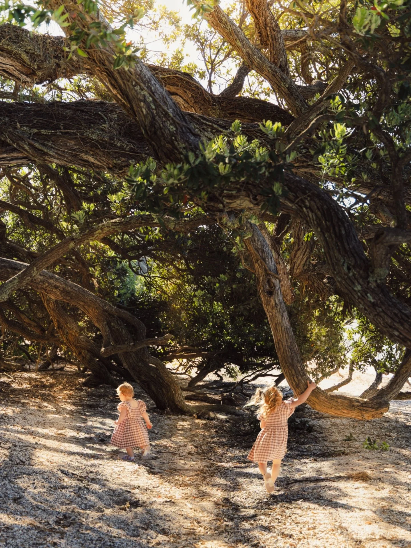 Golden hour spent exploring under the trees! ✨ 
When you book a family session with me, expect natural moments where your minis are free to be themselves and explore the world around them!