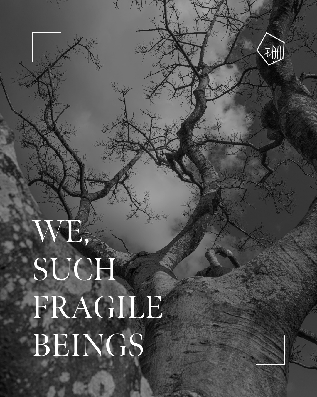 We, Such Fragile Beings