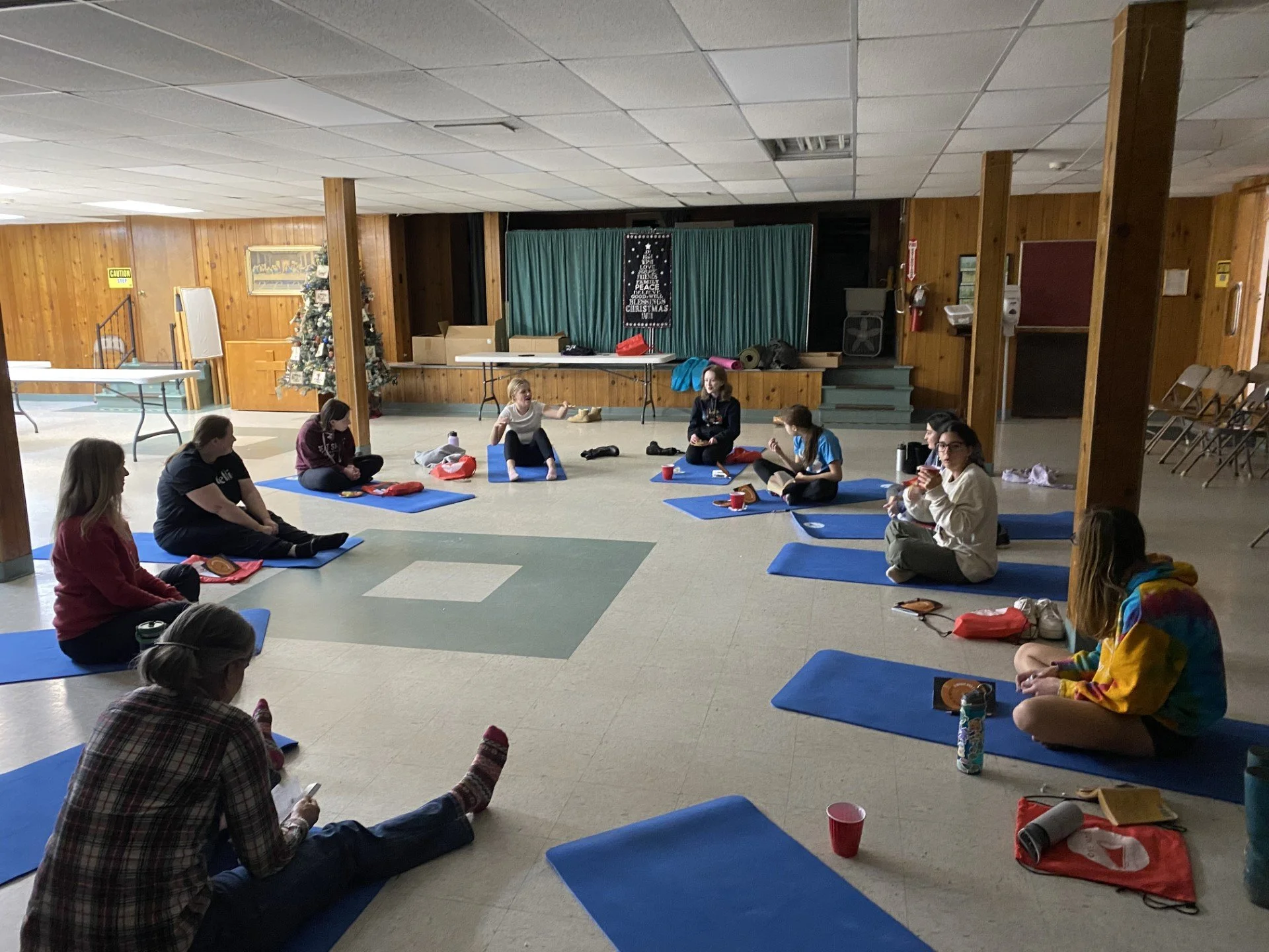 Music the Bridge to the Mind Body Connection