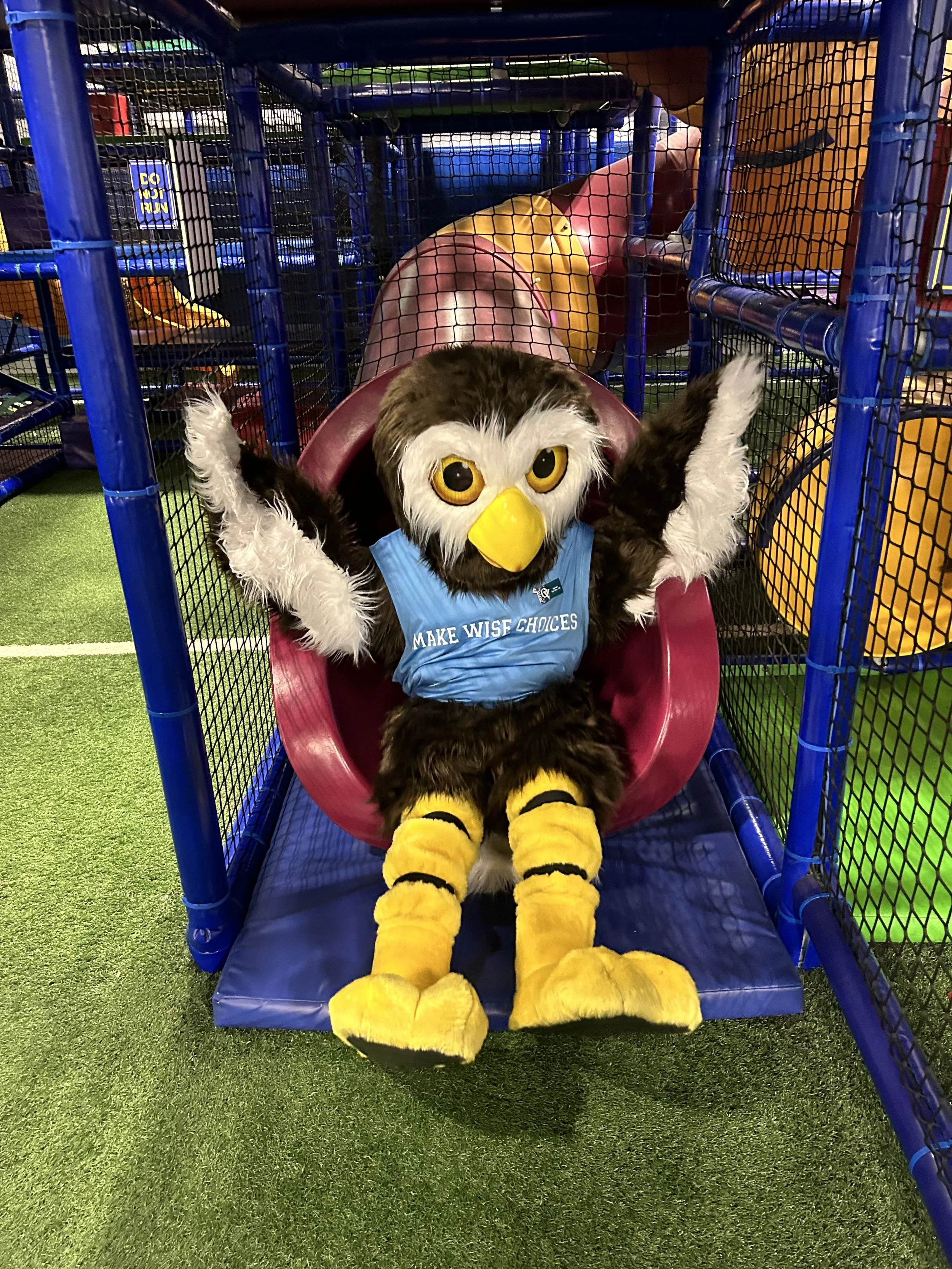 Owlbert coming down the slide in the play area.jpg
