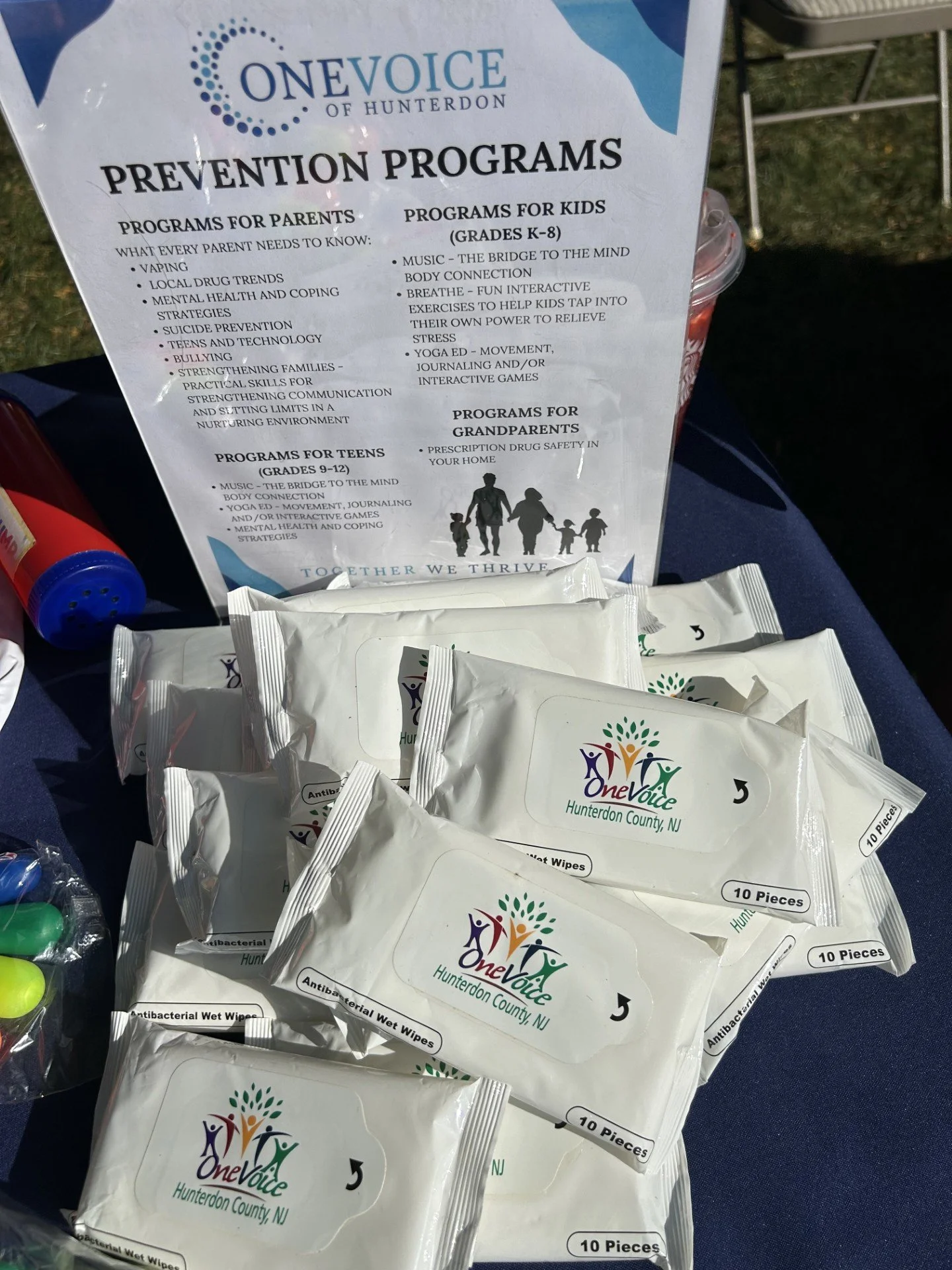 Program FLyer.jpg