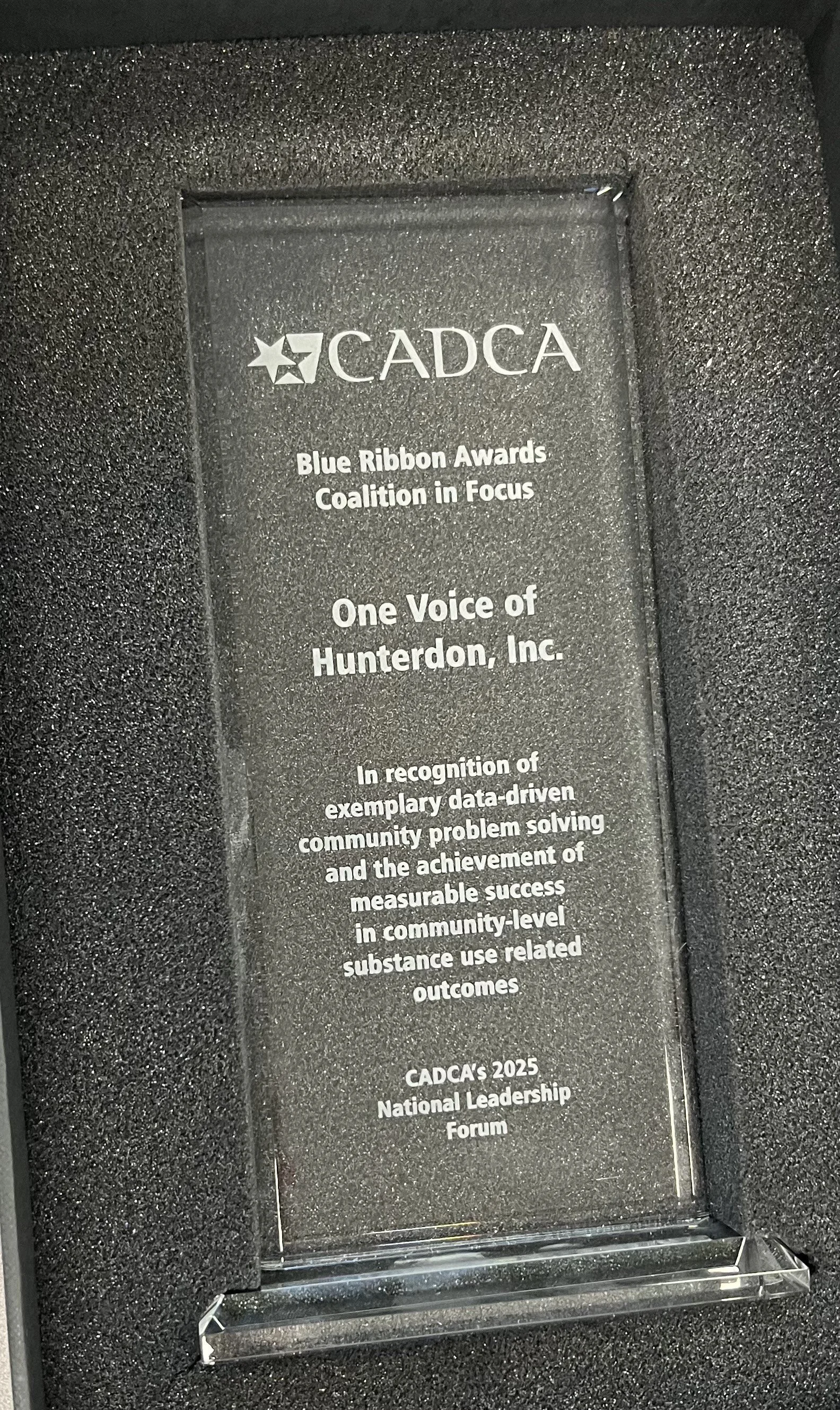 Blue Ribbon award.jpg