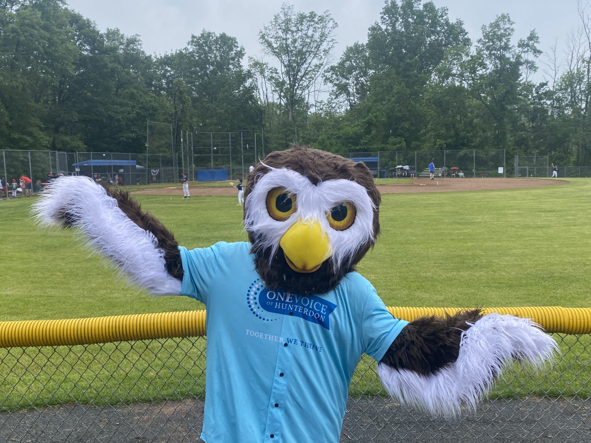 Owlbert with game in background.jpg
