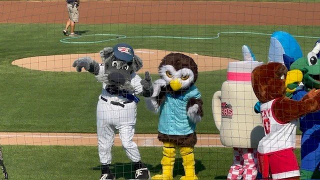 Owlbert and Sparkee on field.jpg