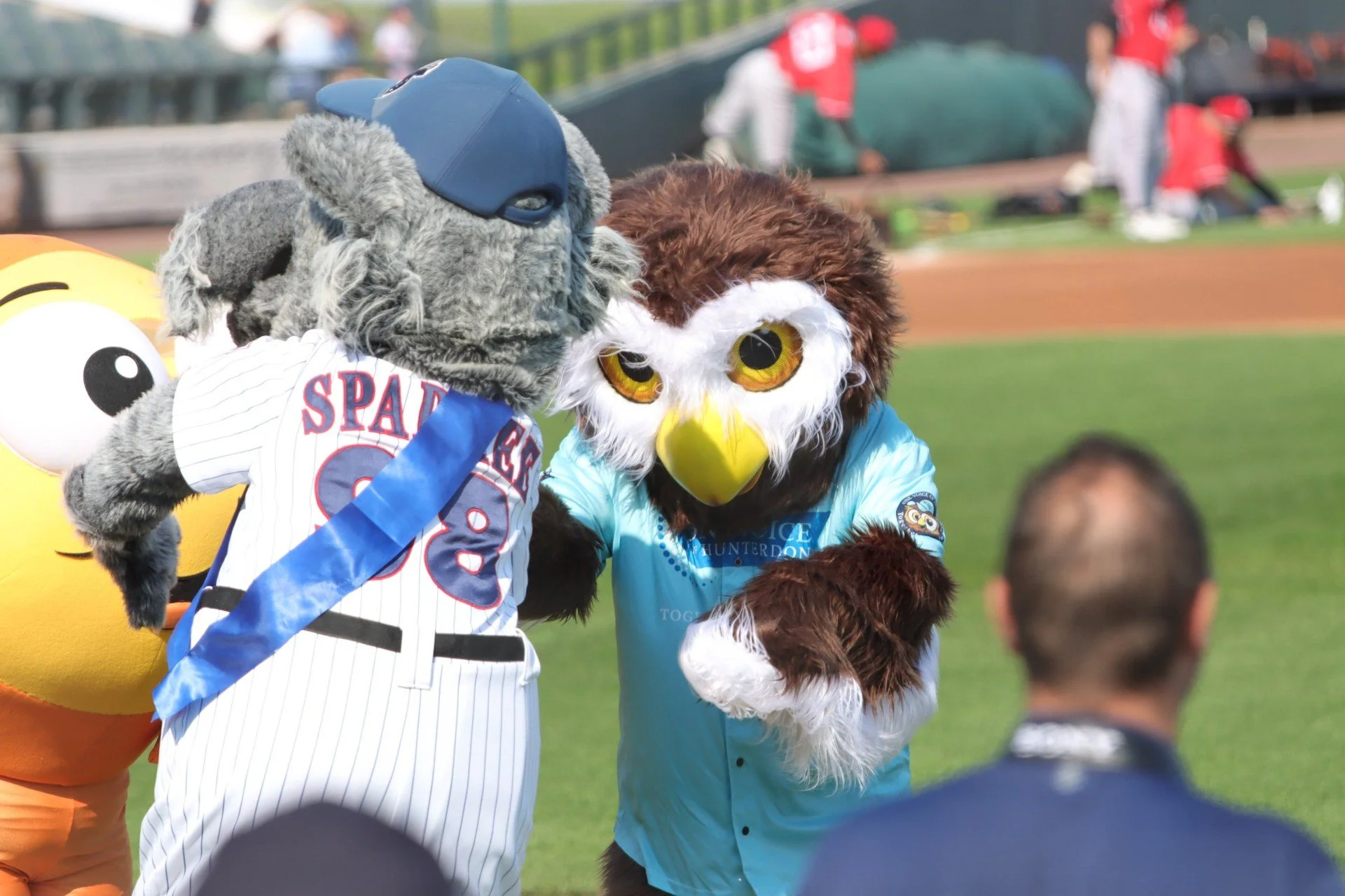 Owlbert and Sparkee.jpg