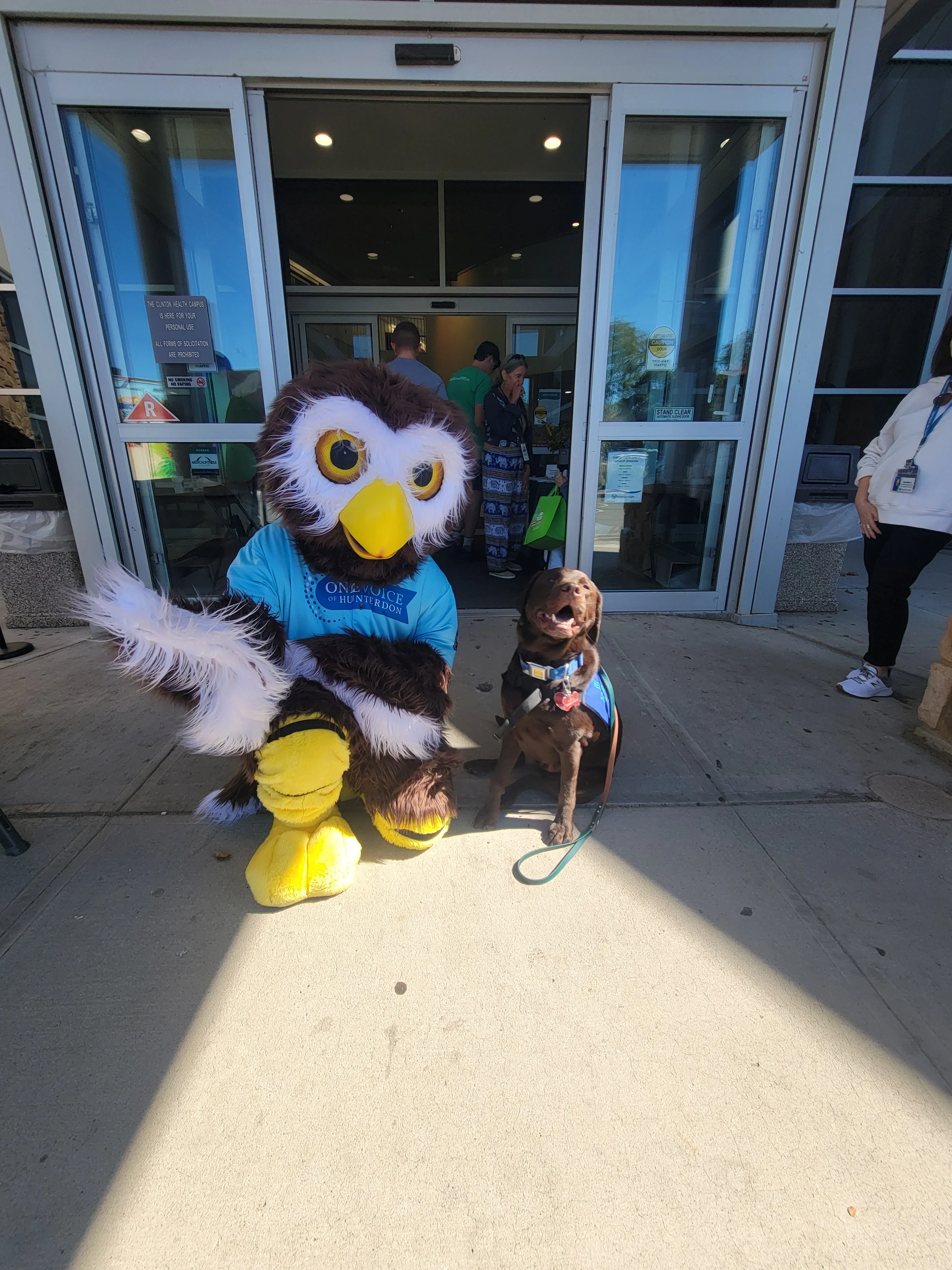 Owlbert and Dog.jpg