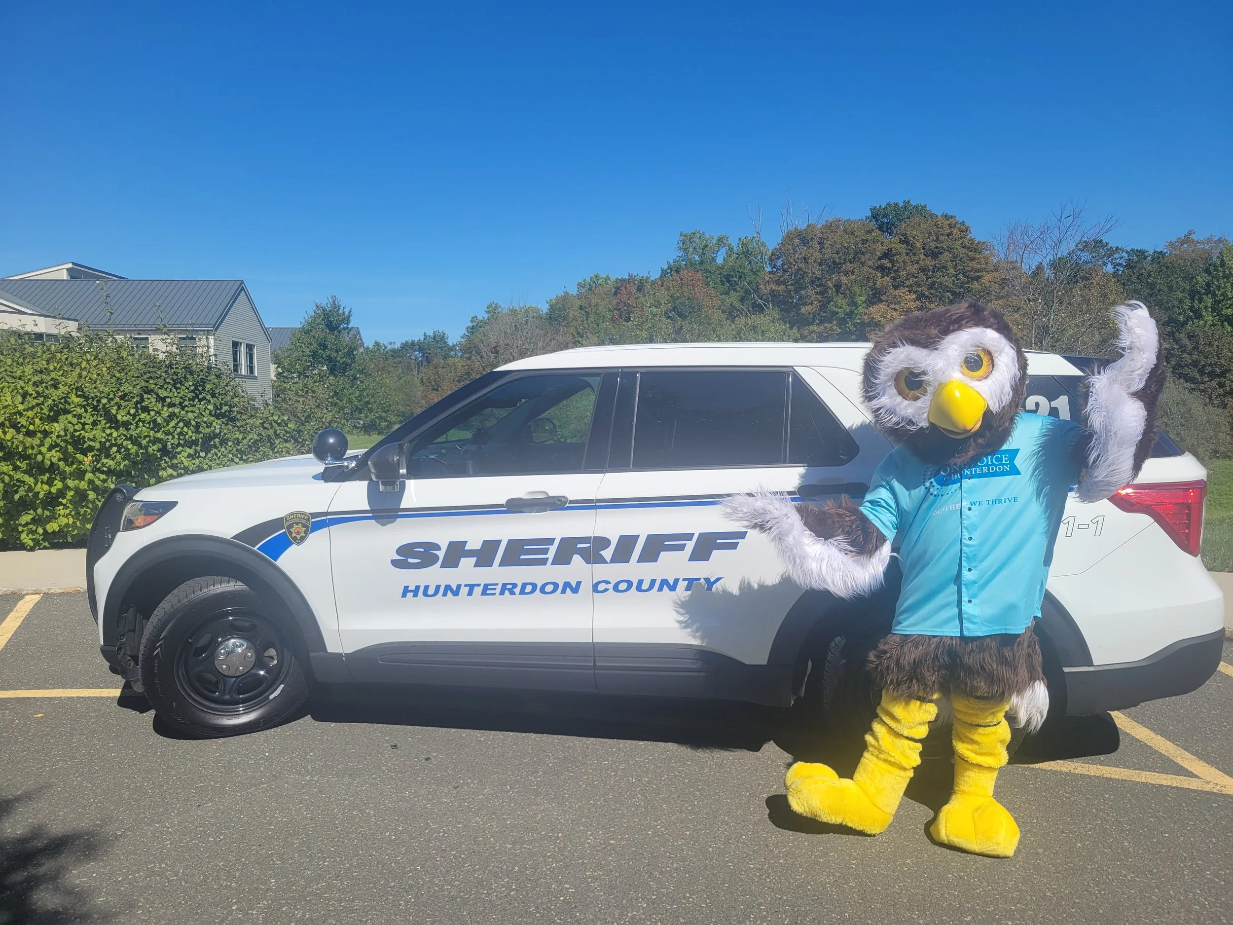 Owlbert Sheriff Car.jpg